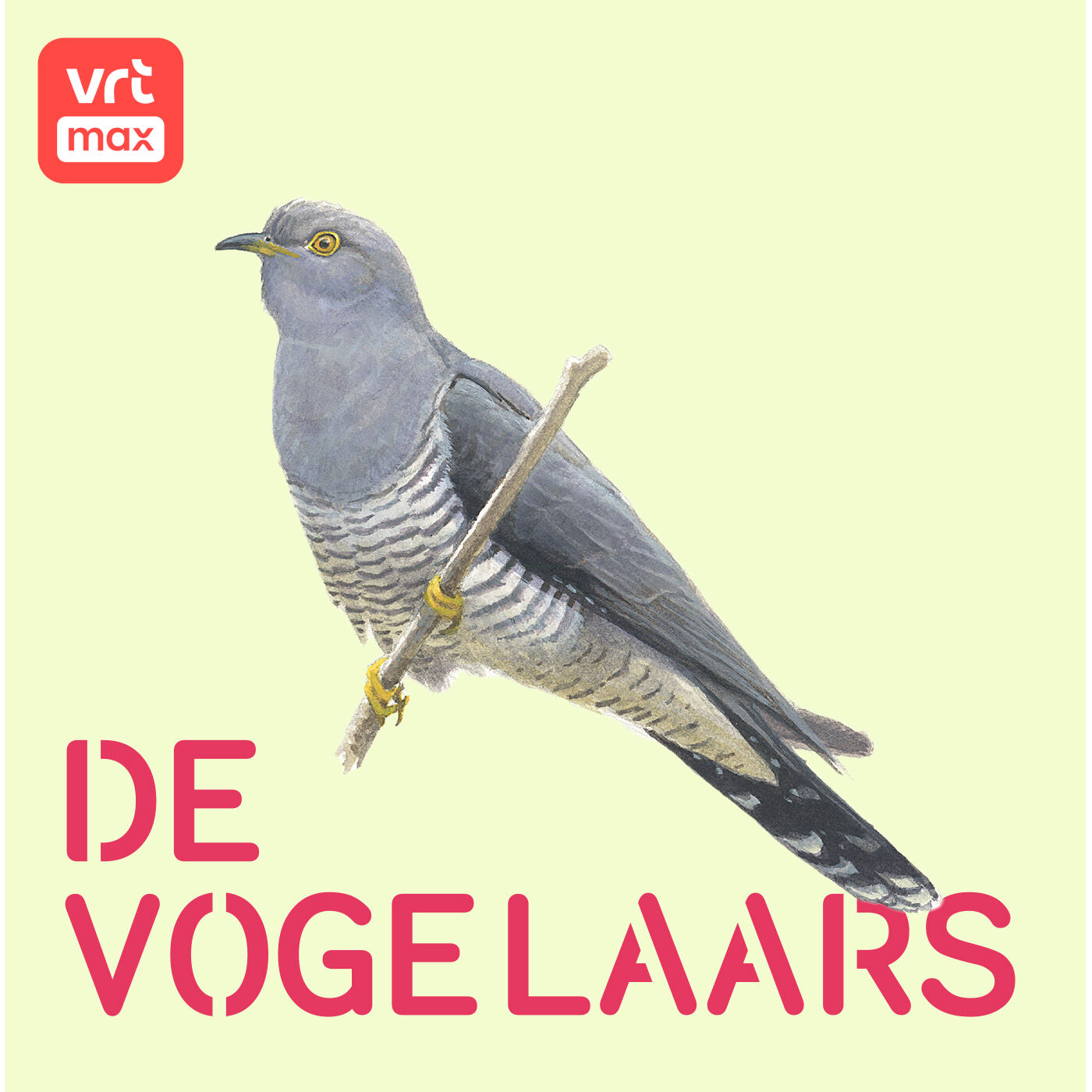 11u: Koekoek! 11u: Koekoek!