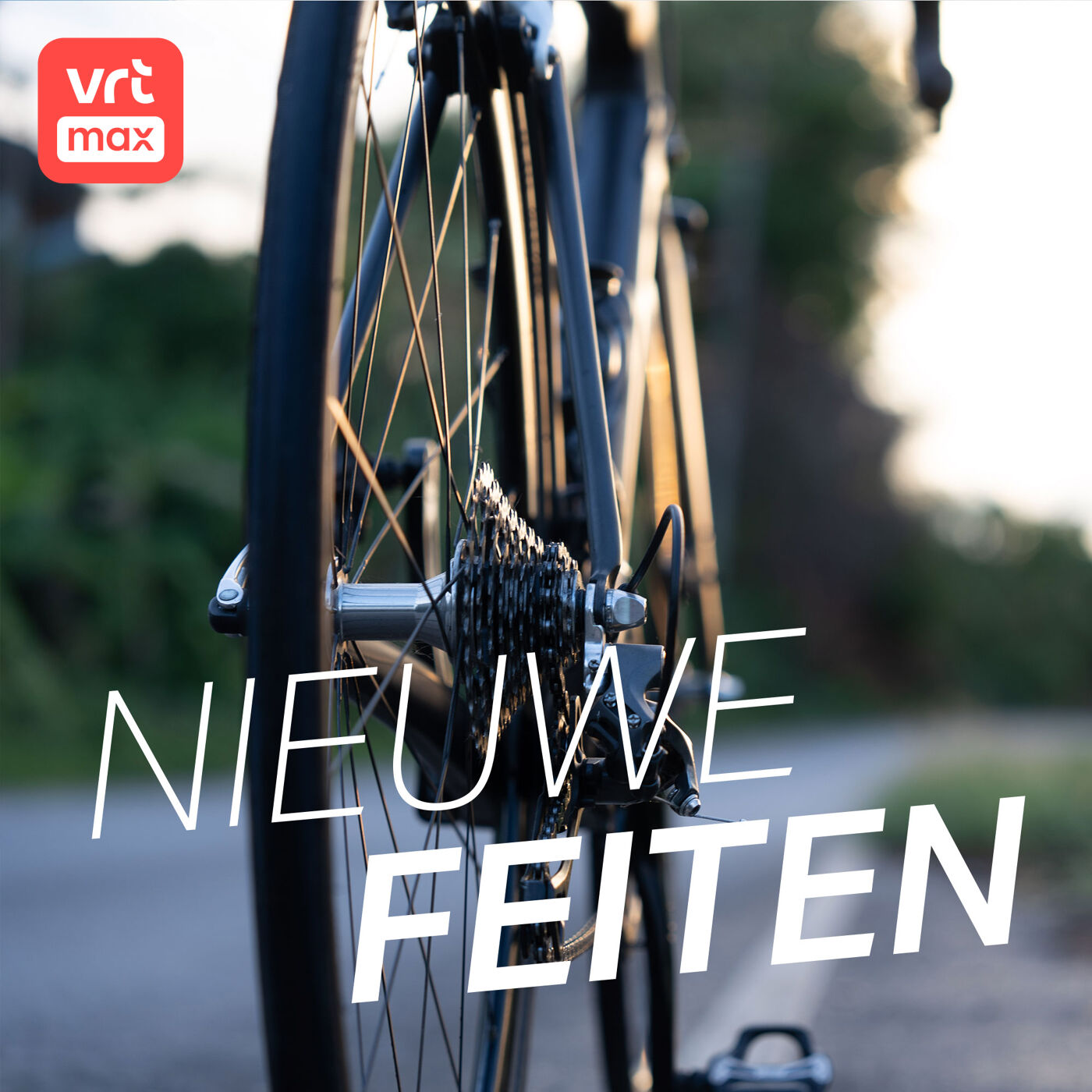 Vlaanderen heeft een fietsprofessor