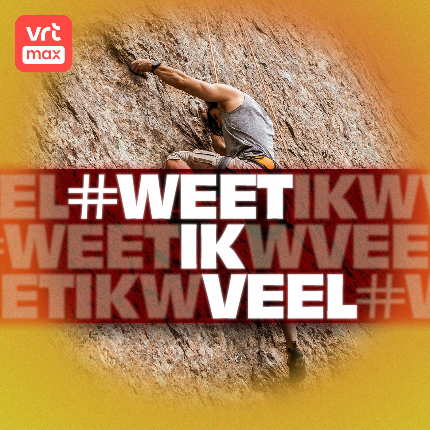 Weetikveel