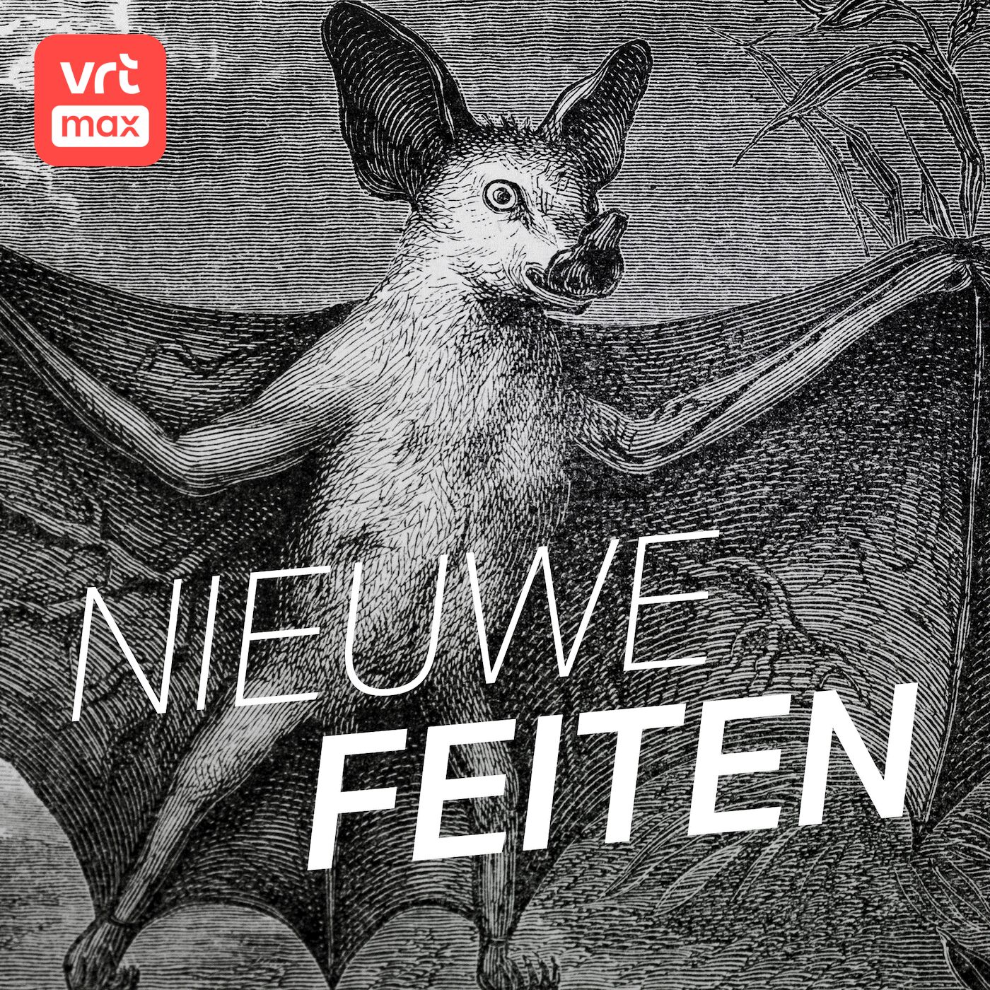 Nieuwe Feiten