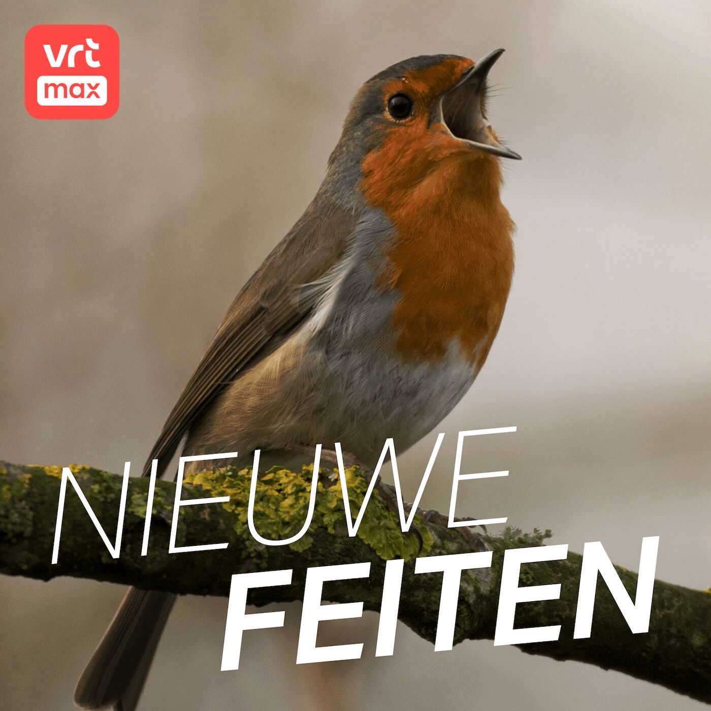 Hoe kleiner de vogel, hoe meer noten op zijn zang