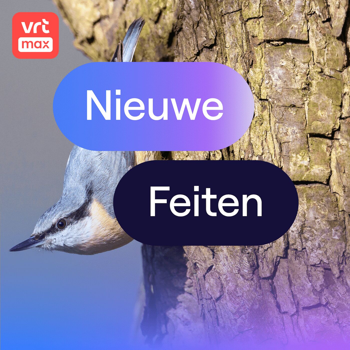 Joeri Buiten: op zoek naar de boomklever