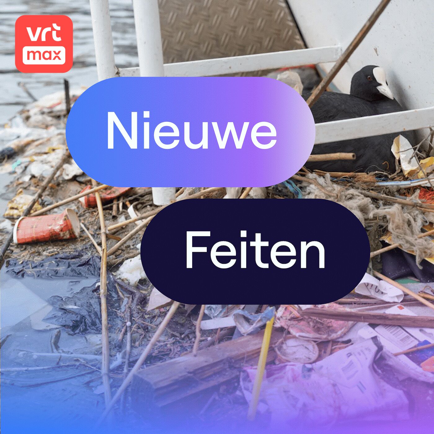 Plastic uit 1994 gevonden in meerkoetennest