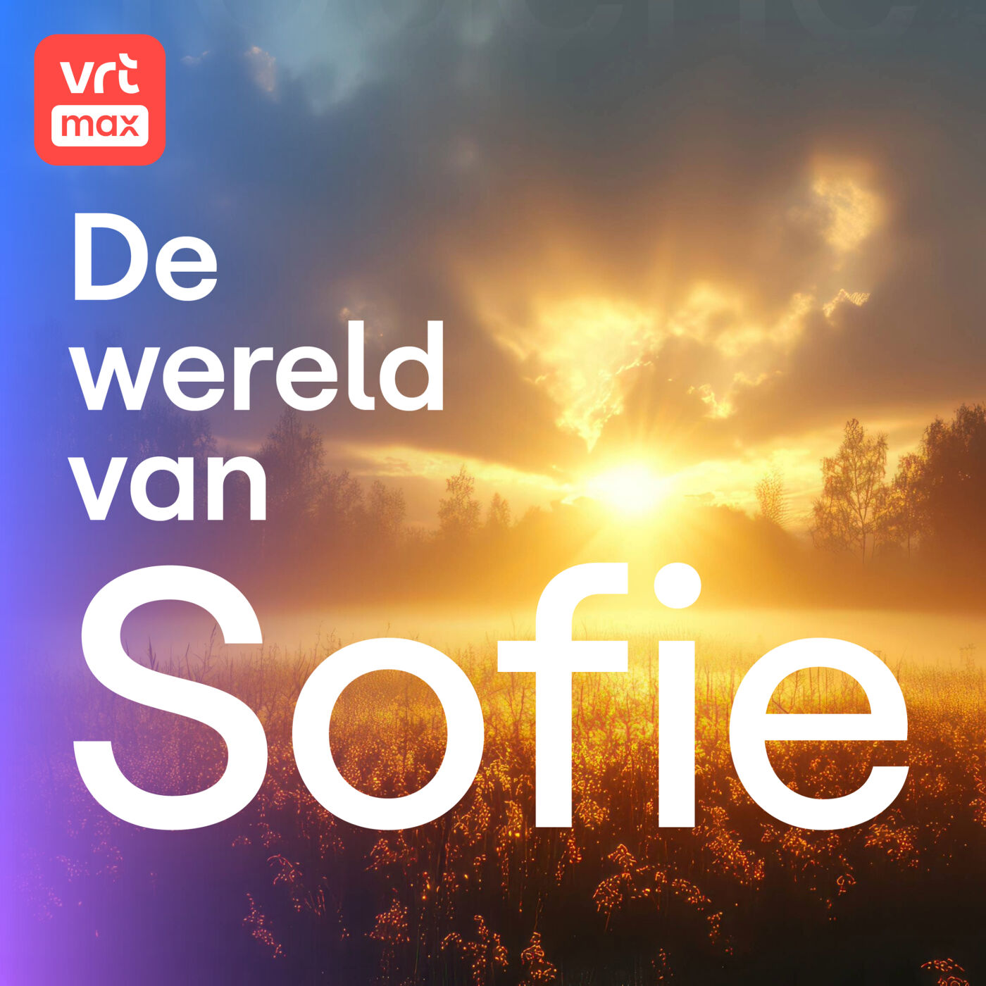 Het licht zien