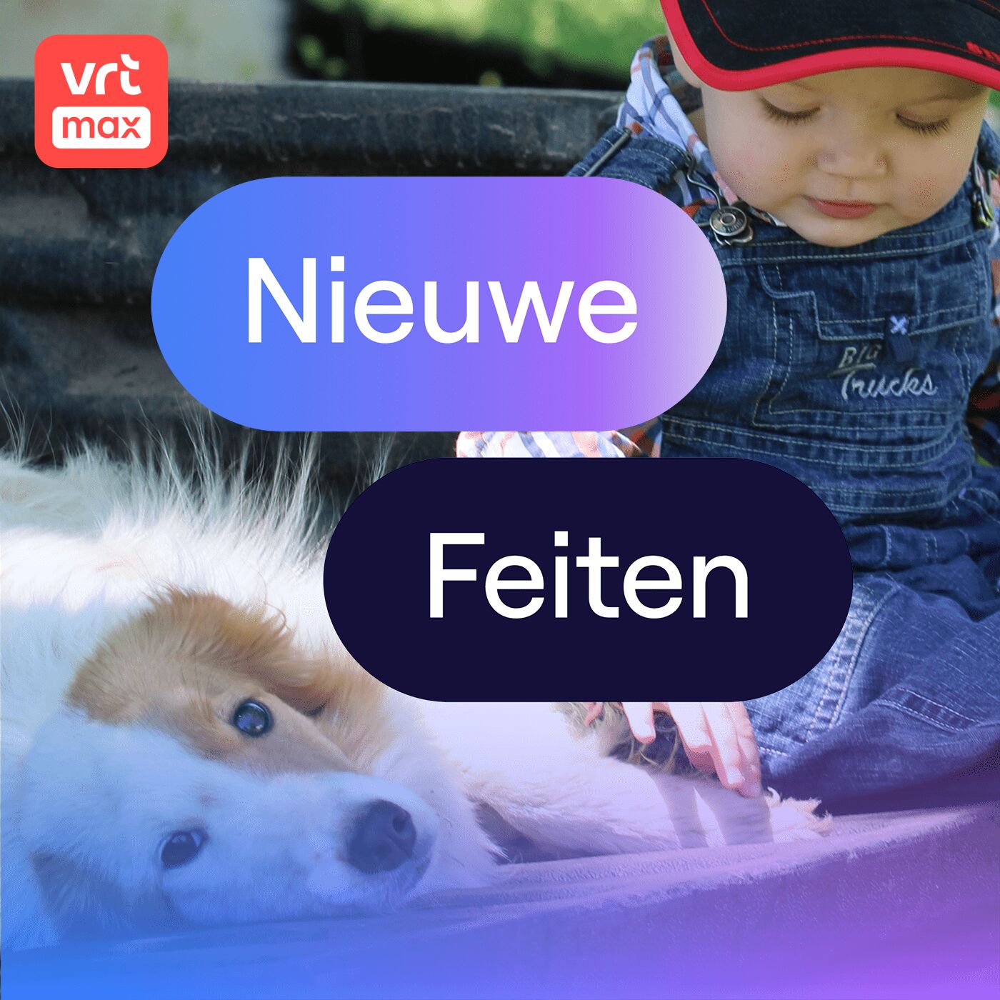 Kind dat opgroeit met hond krijgt later minder eczeem