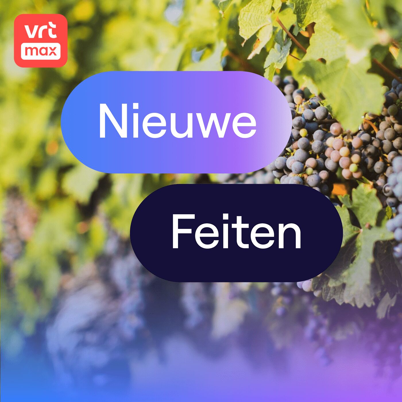 Duitse wijngaarden leeggeroofd