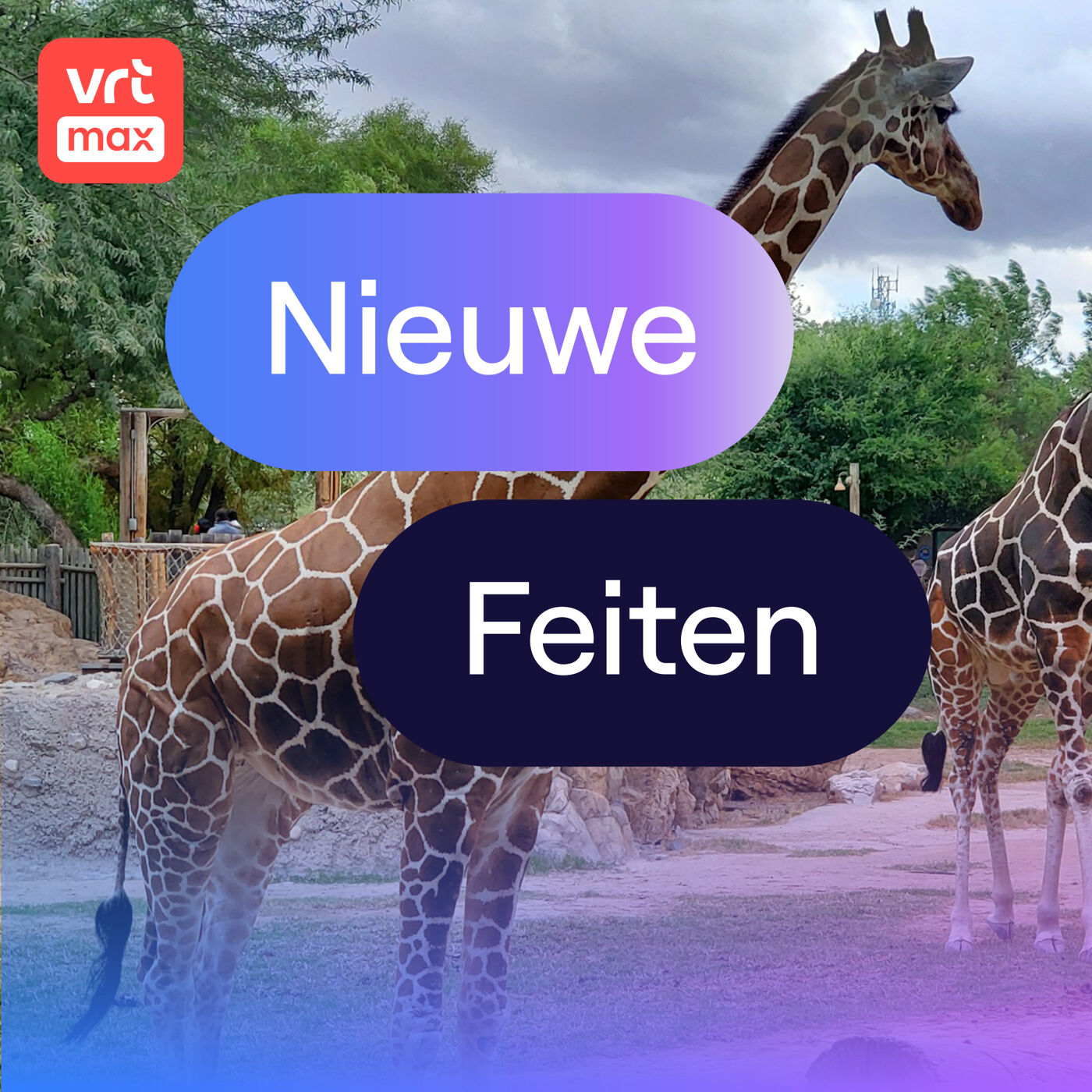 Wat moeten dierentuinen met hun 'surplusdieren' doen?