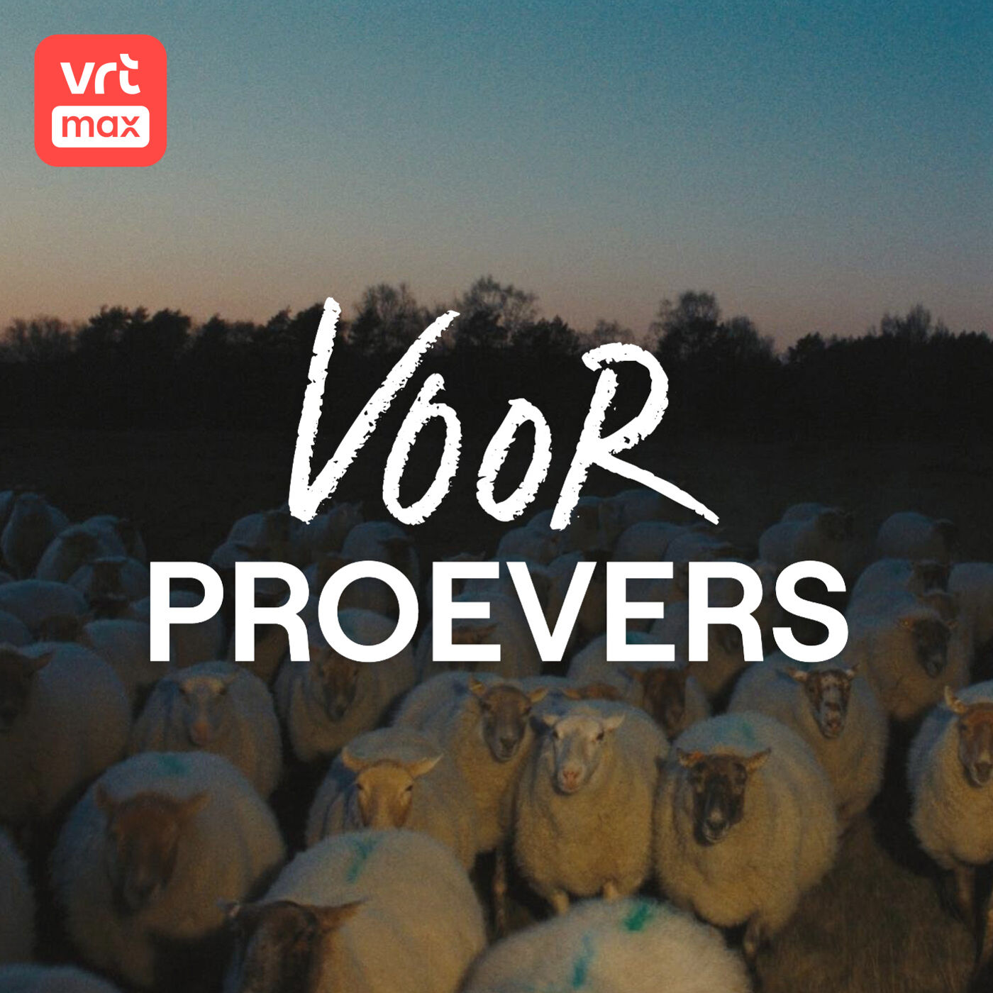 Hoe kijkt het schaap naar de terugkeer van de wolf?