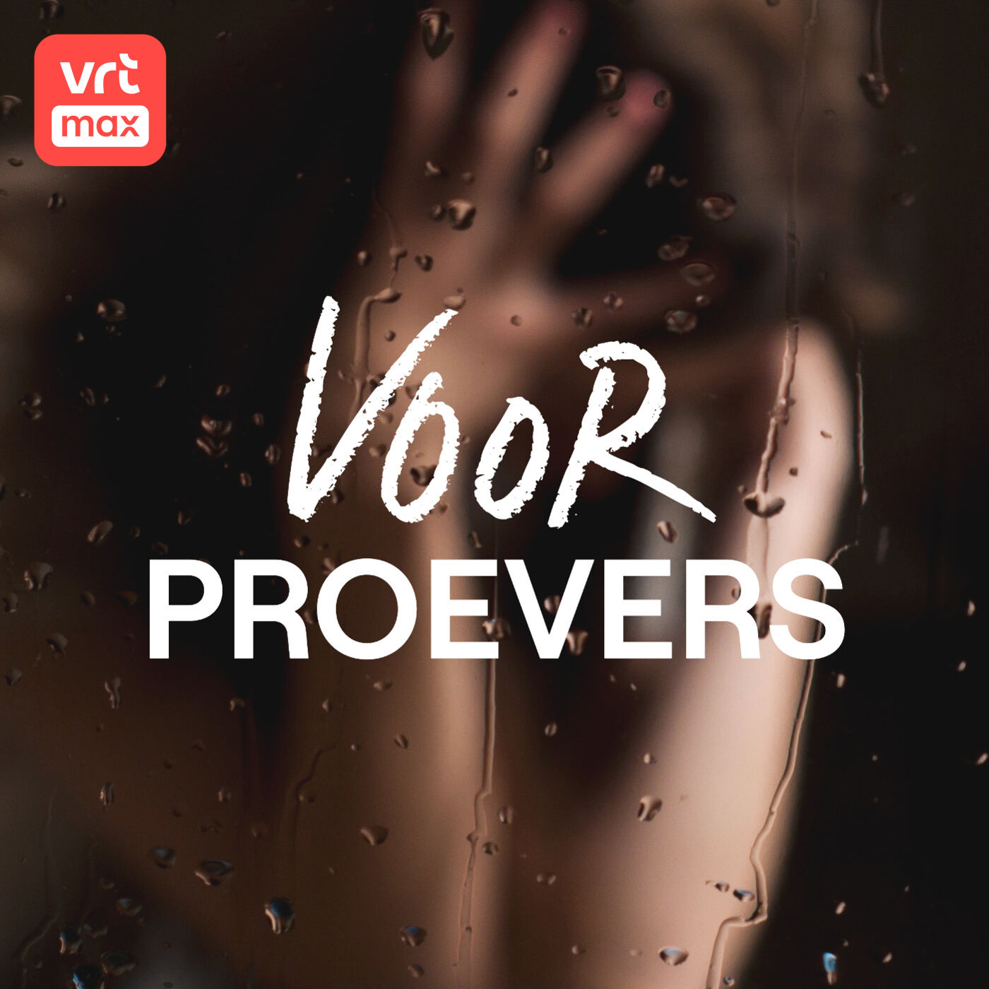 Achter de schermen van zedenzaken