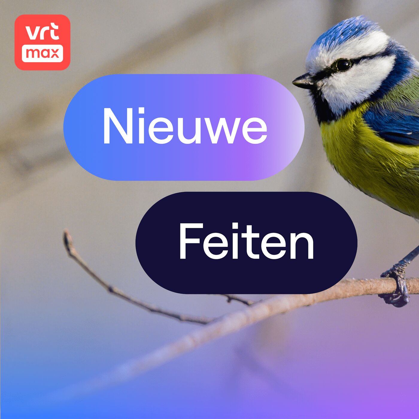 Mezen-invasie vanuit Rusland en de Baltische Staten