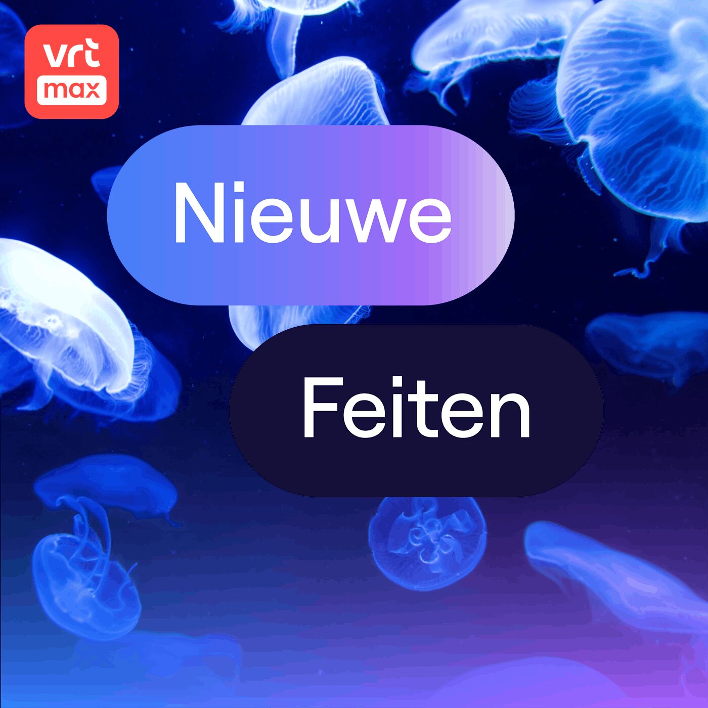 Kwallen doen een middagdutje Kwallen doen een middagdutje