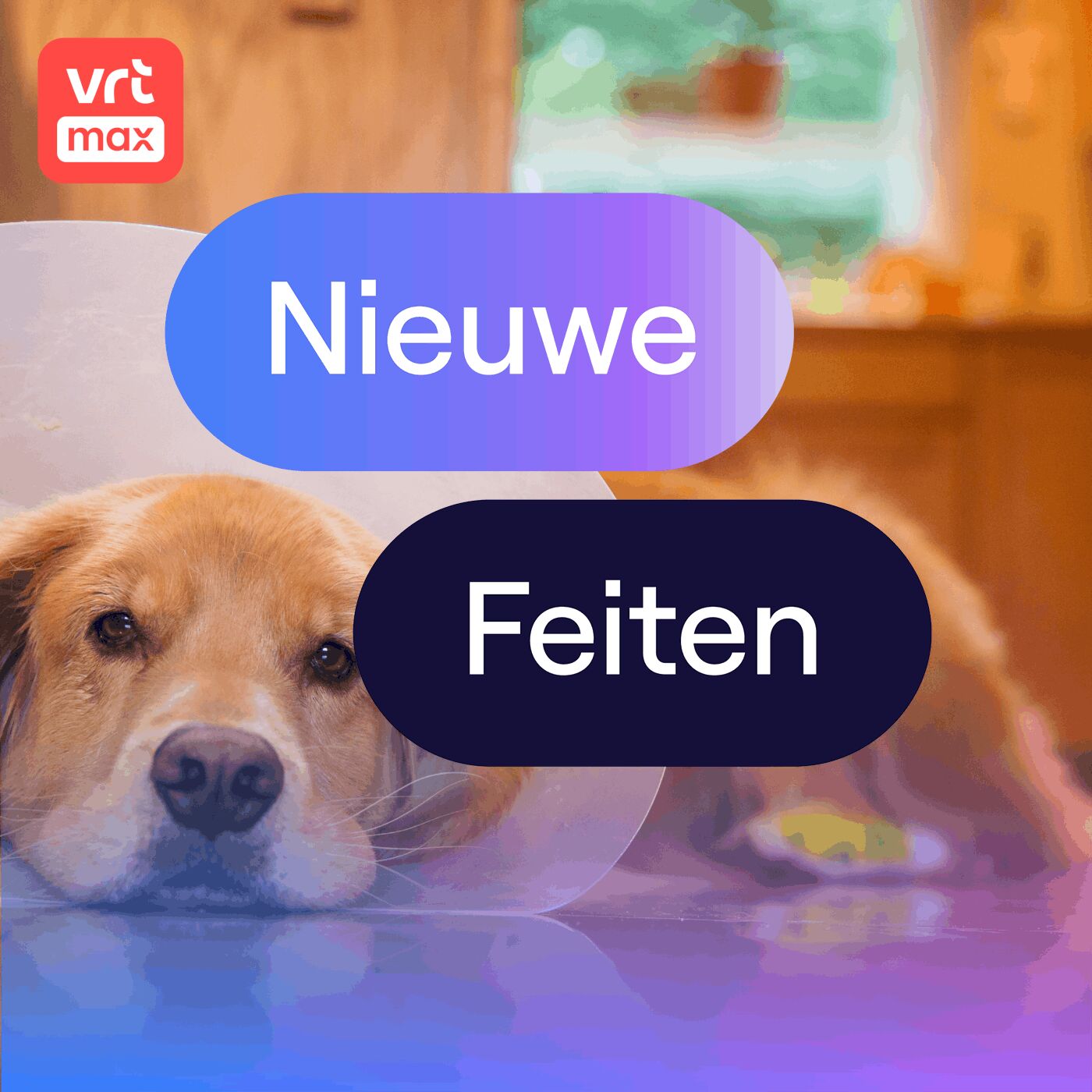 Castratie verlengt het leven van dieren met 10% Castratie verlengt het leven van dieren met 10%