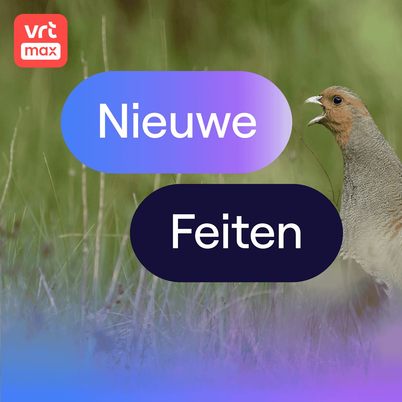 Grote kans dat U afstamt van een 'patrijs' Grote kans dat U afstamt van een 'patrijs'