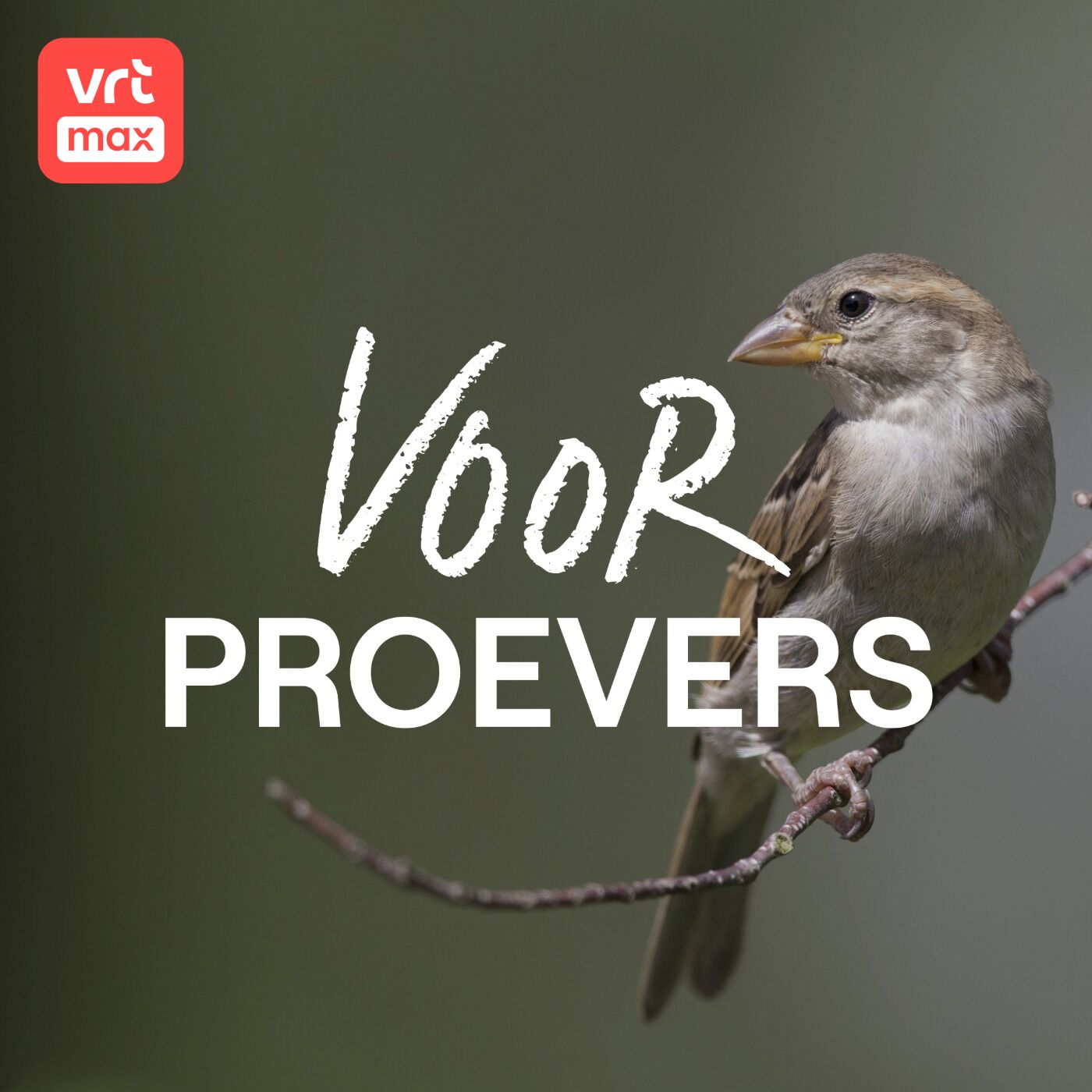 Begijn Le Bleu over de huismus Begijn Le Bleu over de huismus