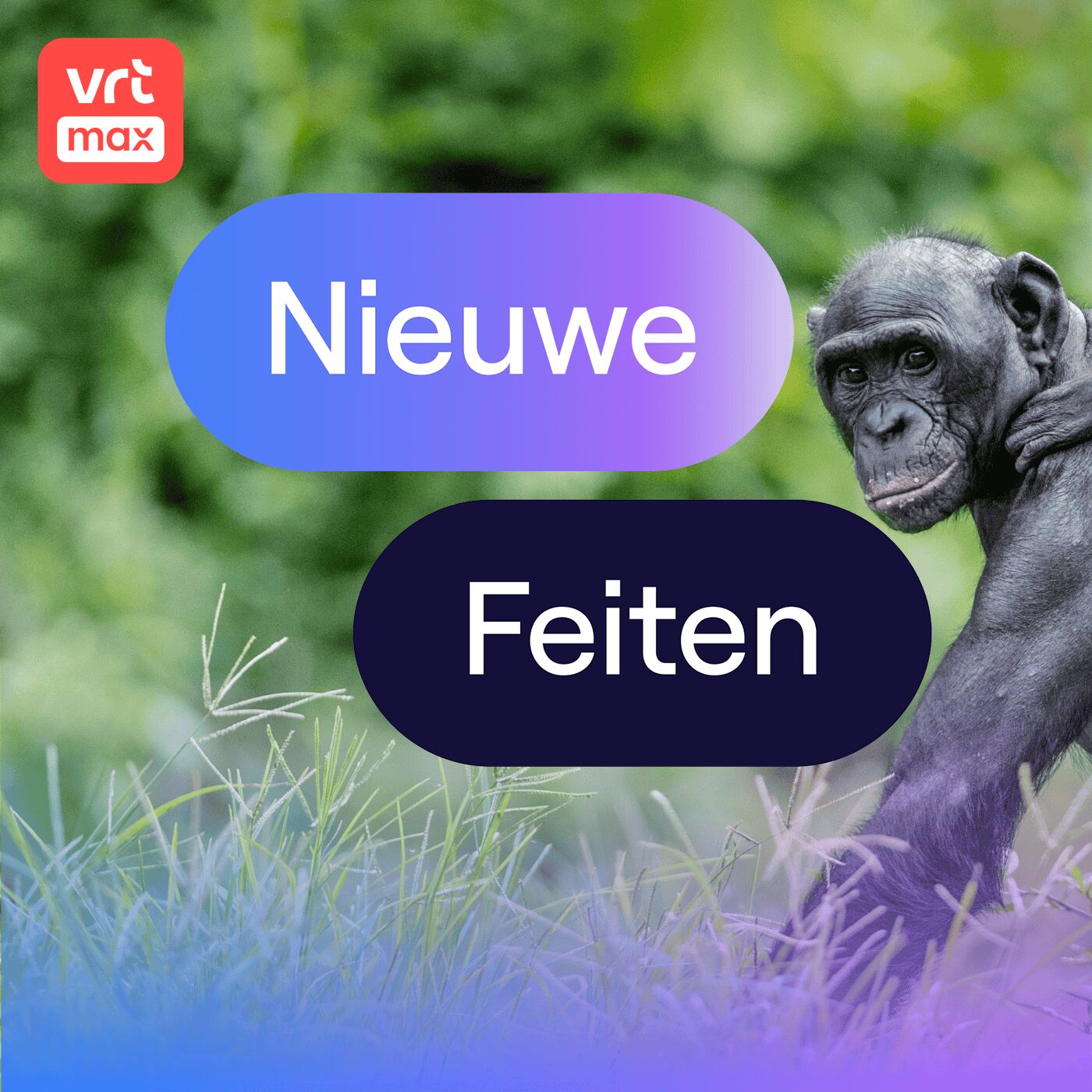 Hebben apen fantasie? Hebben apen fantasie?