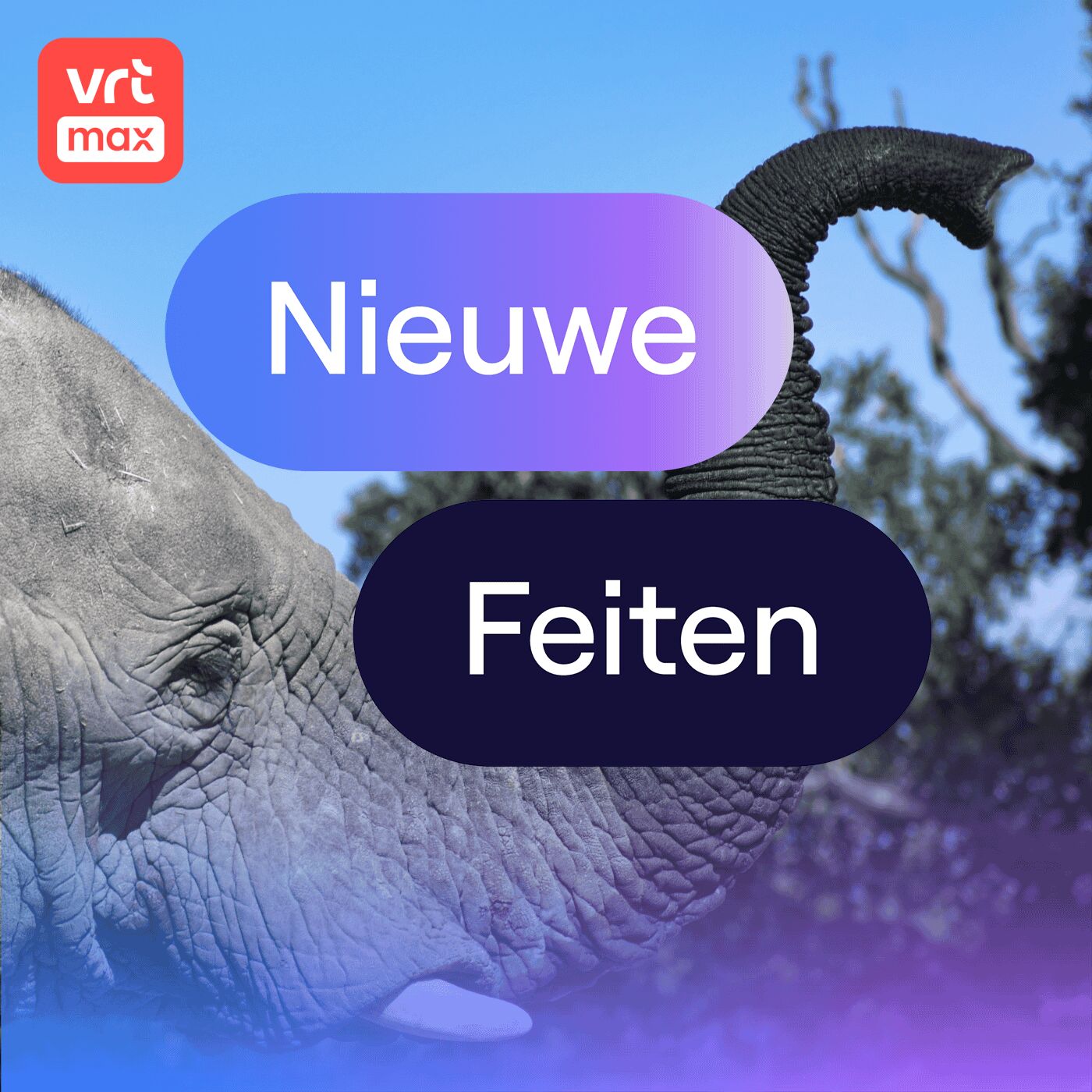 Olifantenslurf staat vol slimme tastharen