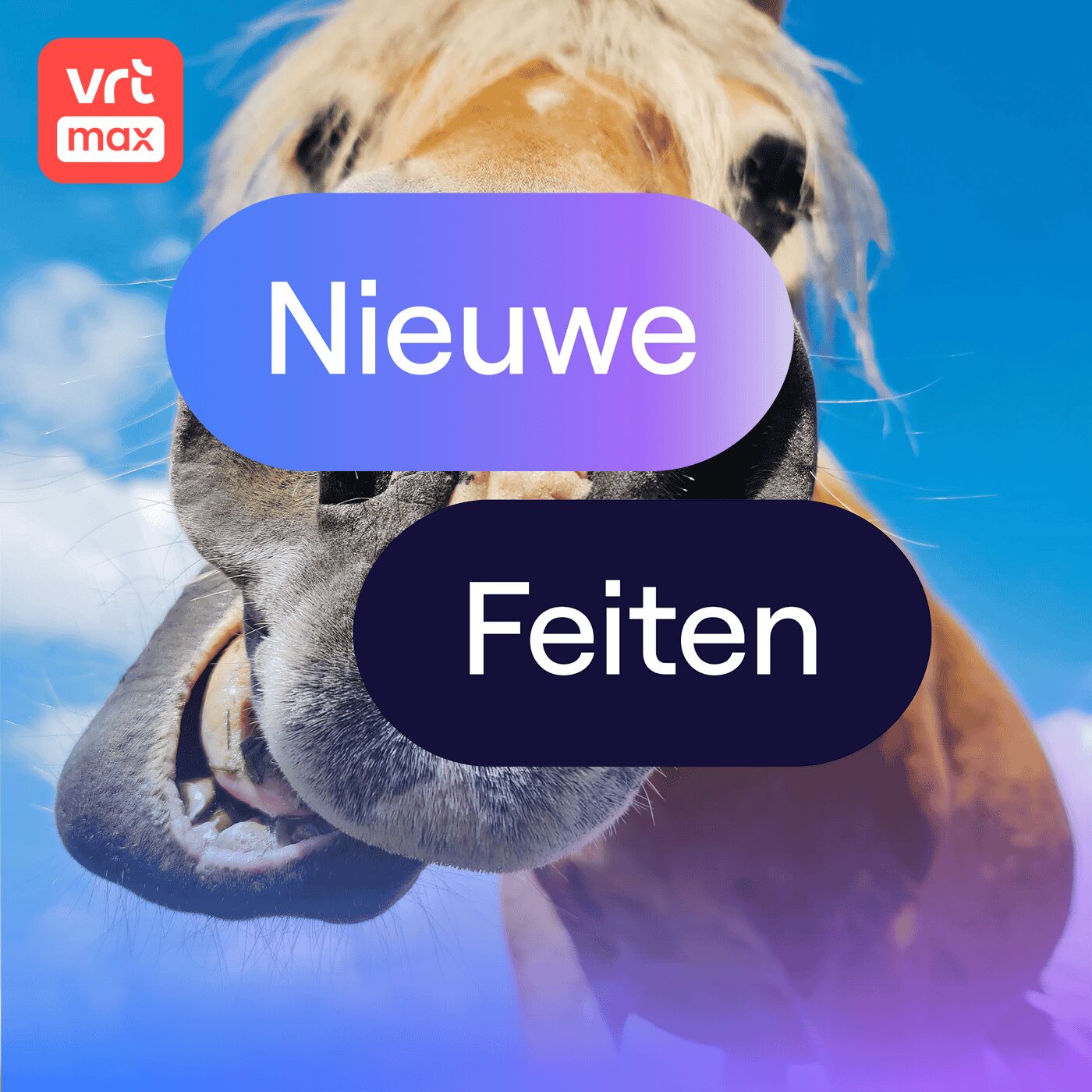 Eindelijk weten we hoe een paard hinnikt Eindelijk weten we hoe een paard hinnikt