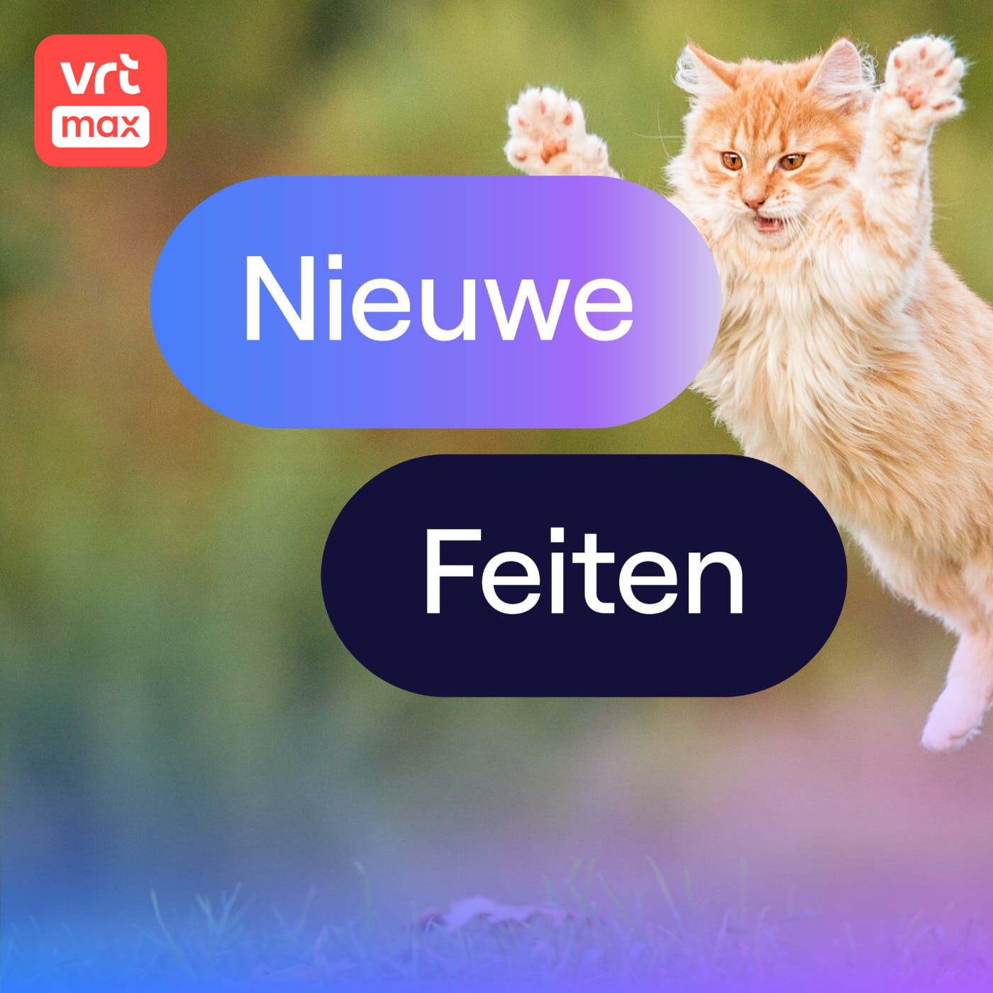 Mysterie opgelost: daarom vallen katten altijd op hun poten Mysterie opgelost: daarom vallen katten altijd op hun poten