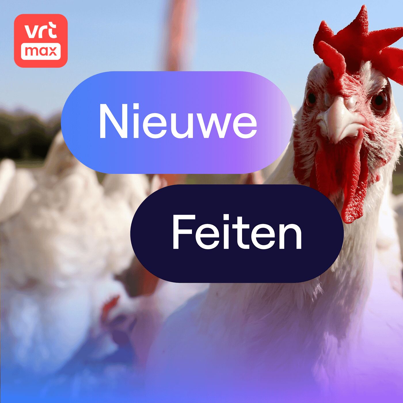 Deze kip legt straks een kankermedicijn