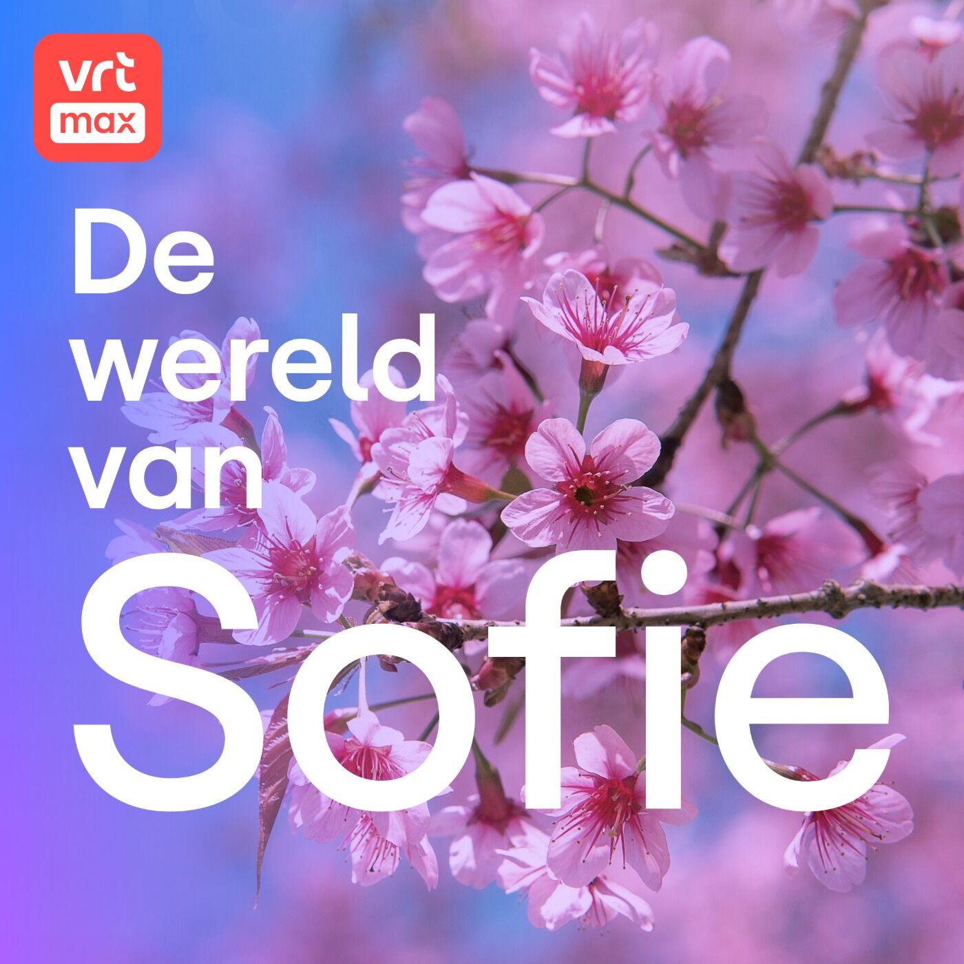 In de roze wolken! In de roze wolken!