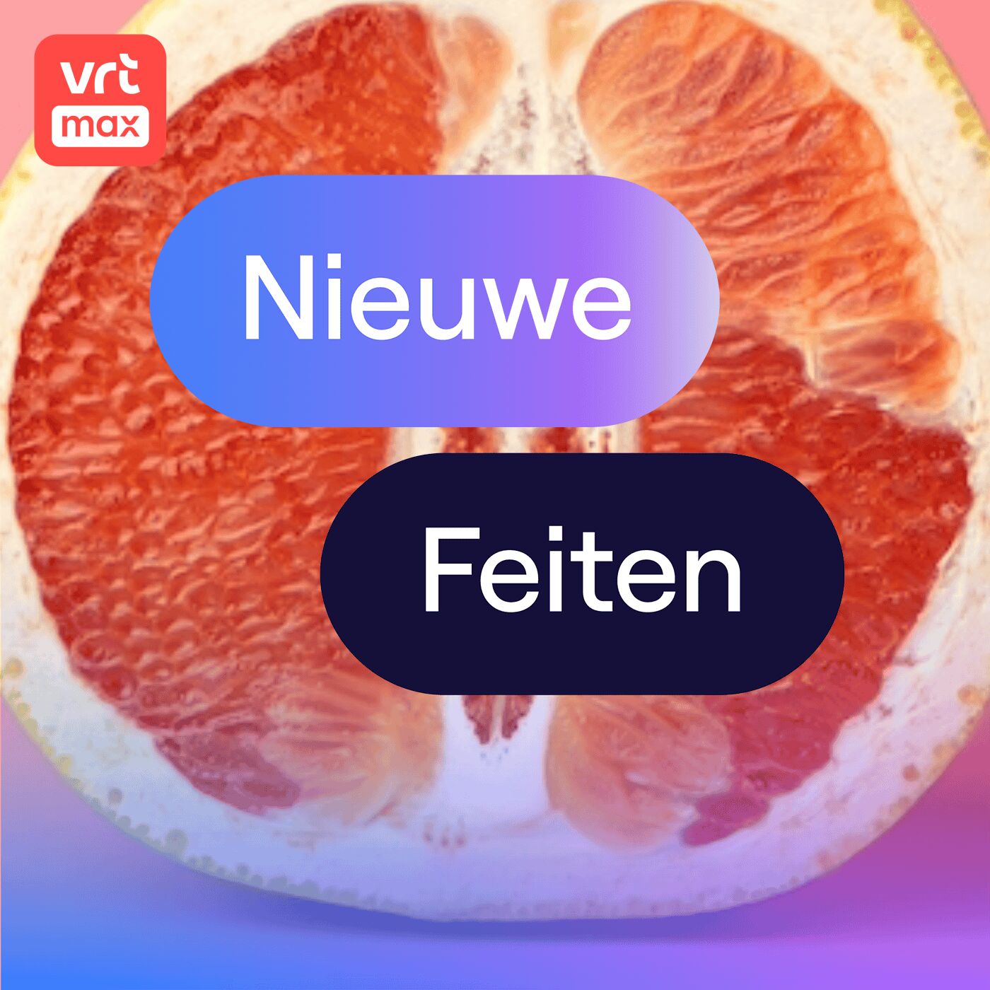 Eindelijk in kaart gebracht: de zenuwen van de clitoris Eindelijk in kaart gebracht: de zenuwen van de clitoris