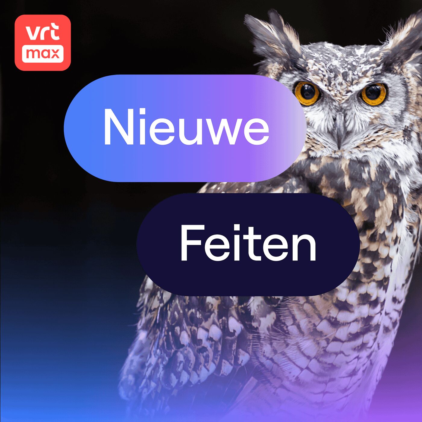 Een Oehoe zegt veel meer dan oehoe