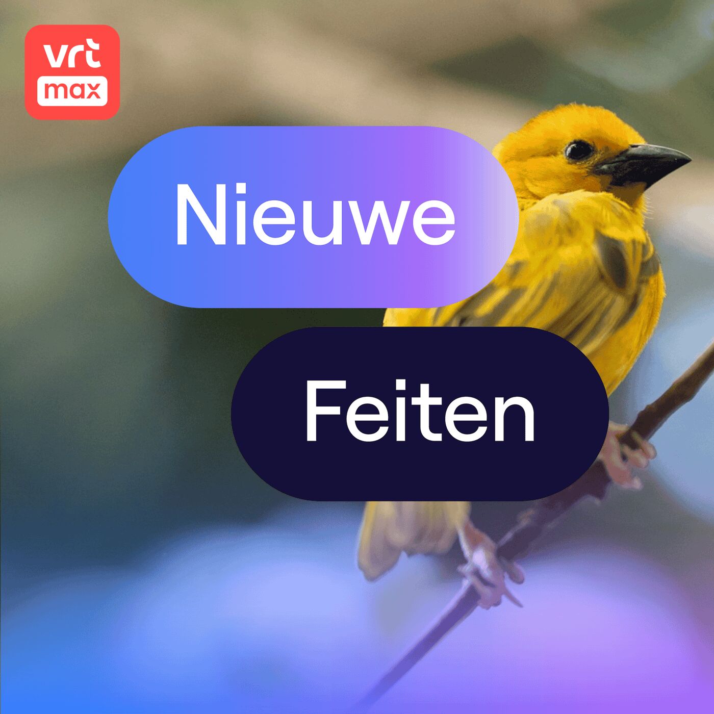 Nieuw onderzoek: ook vogels masturberen graag episode artwork