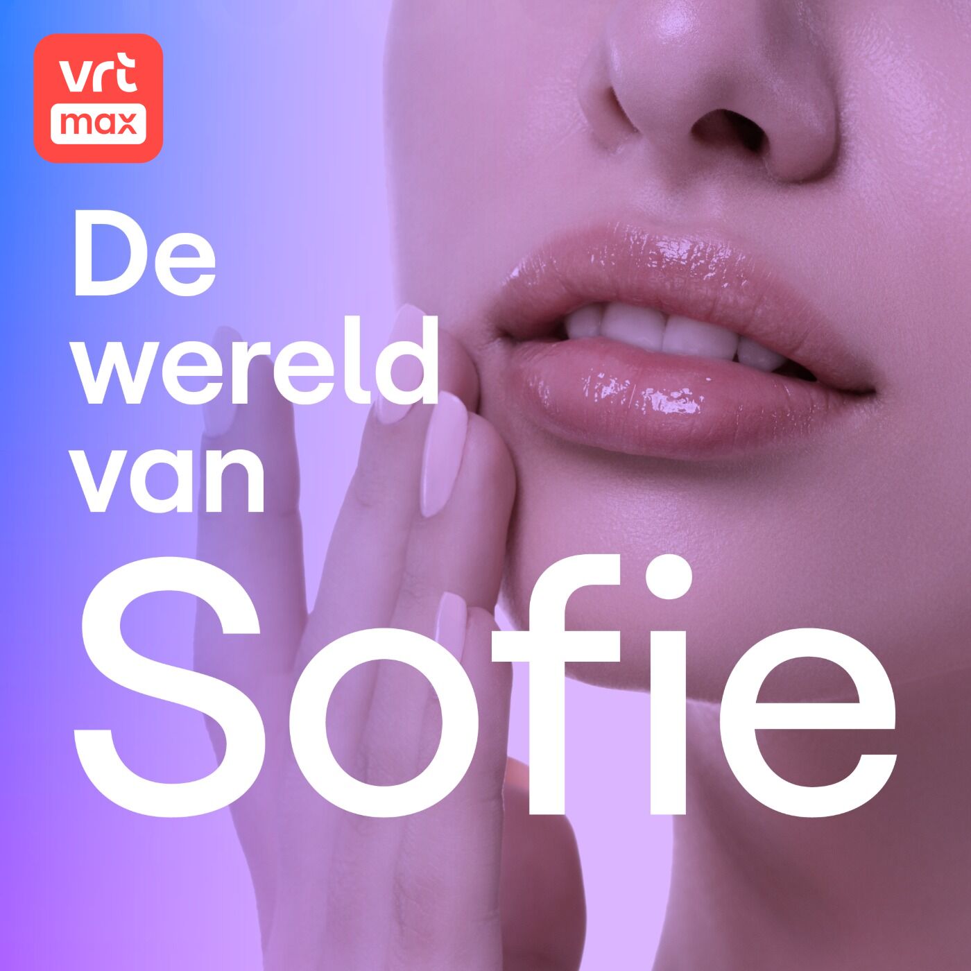 De nieuwe gezichten episode artwork
