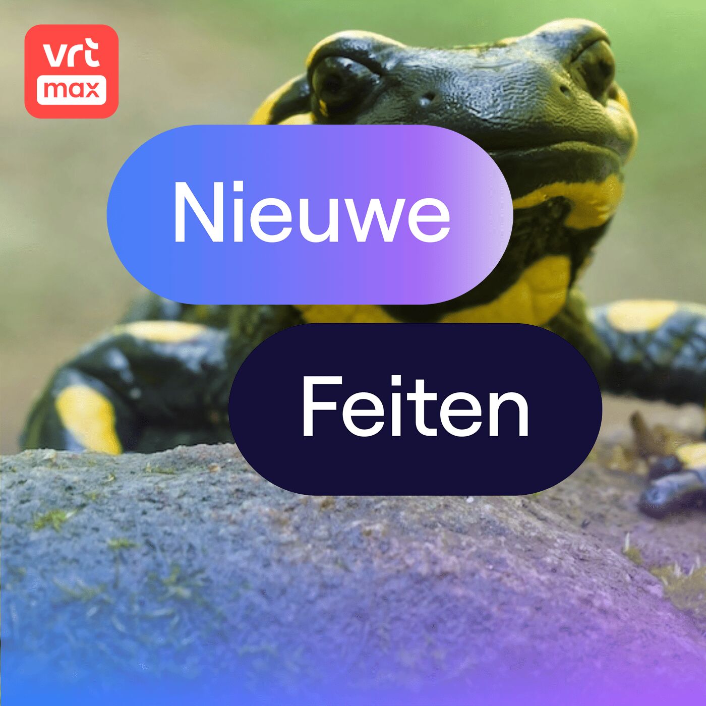 Dodelijke schimmel bedreigt vuursalamander episode artwork