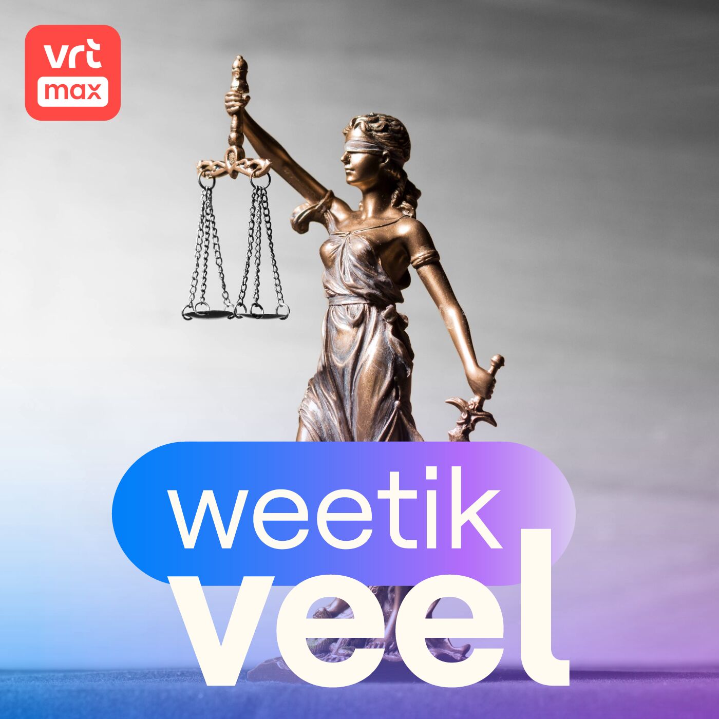 Het Grondwettelijk Hof episode artwork