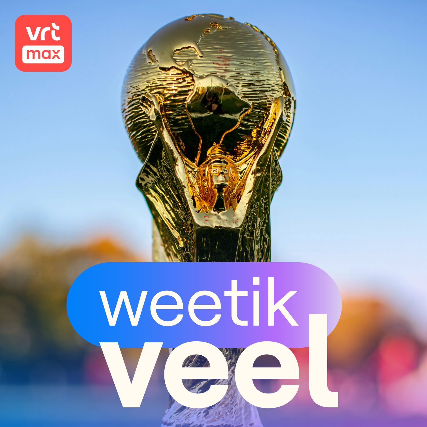 Het WK Voetbal (de verhalen van Frank Raes)