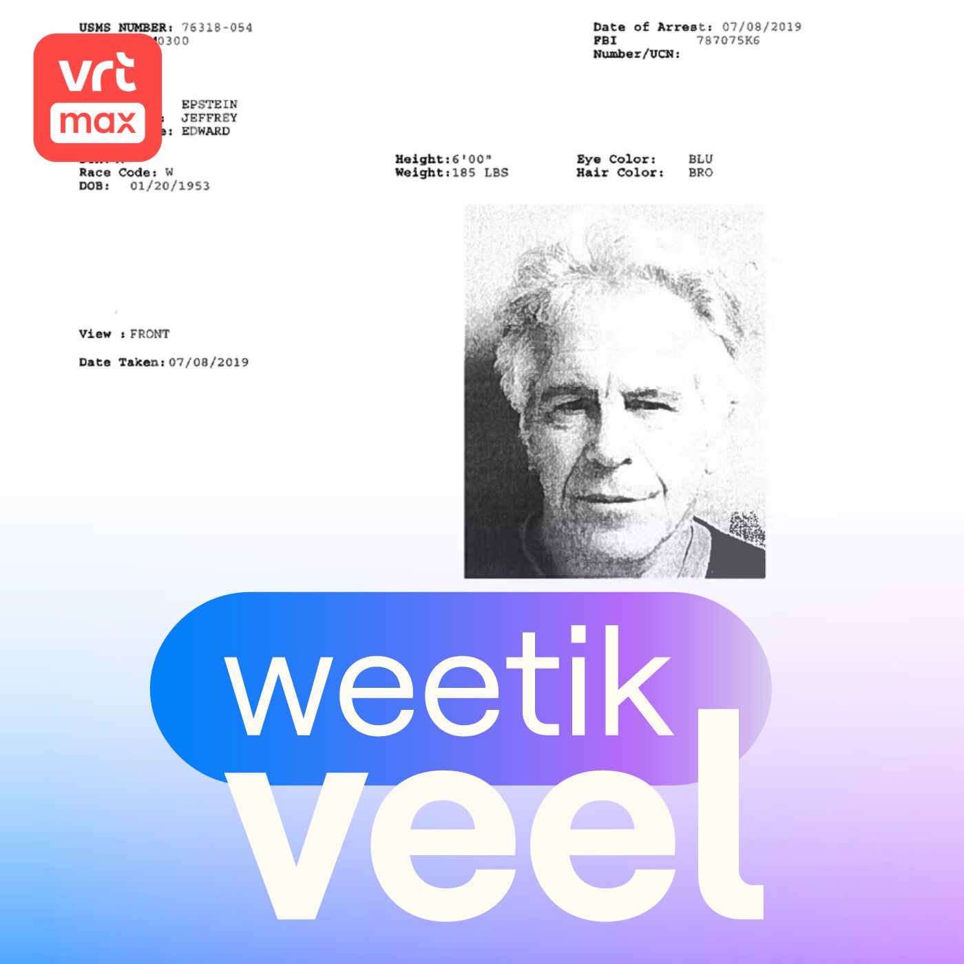 De Epstein-files