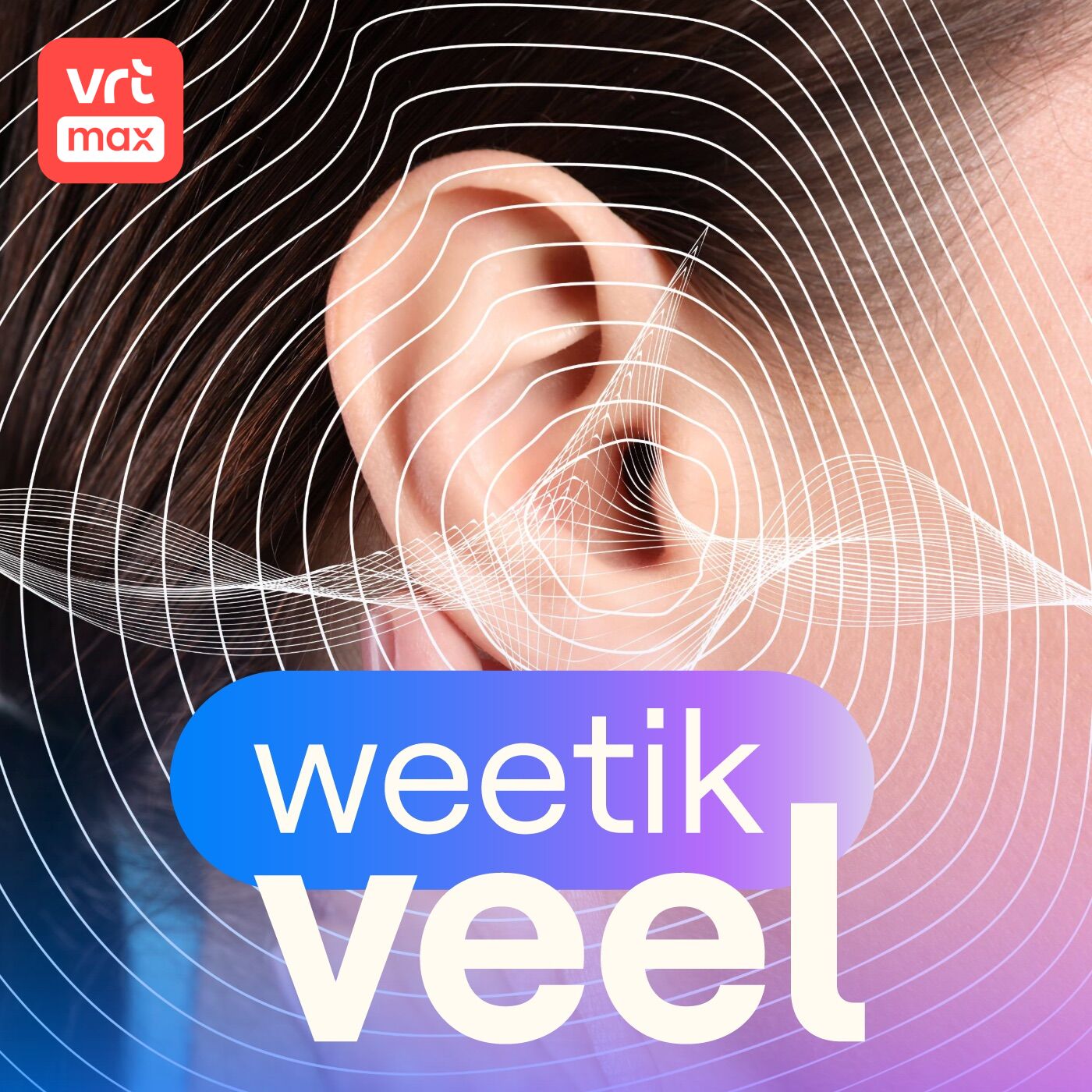 Het gehoor