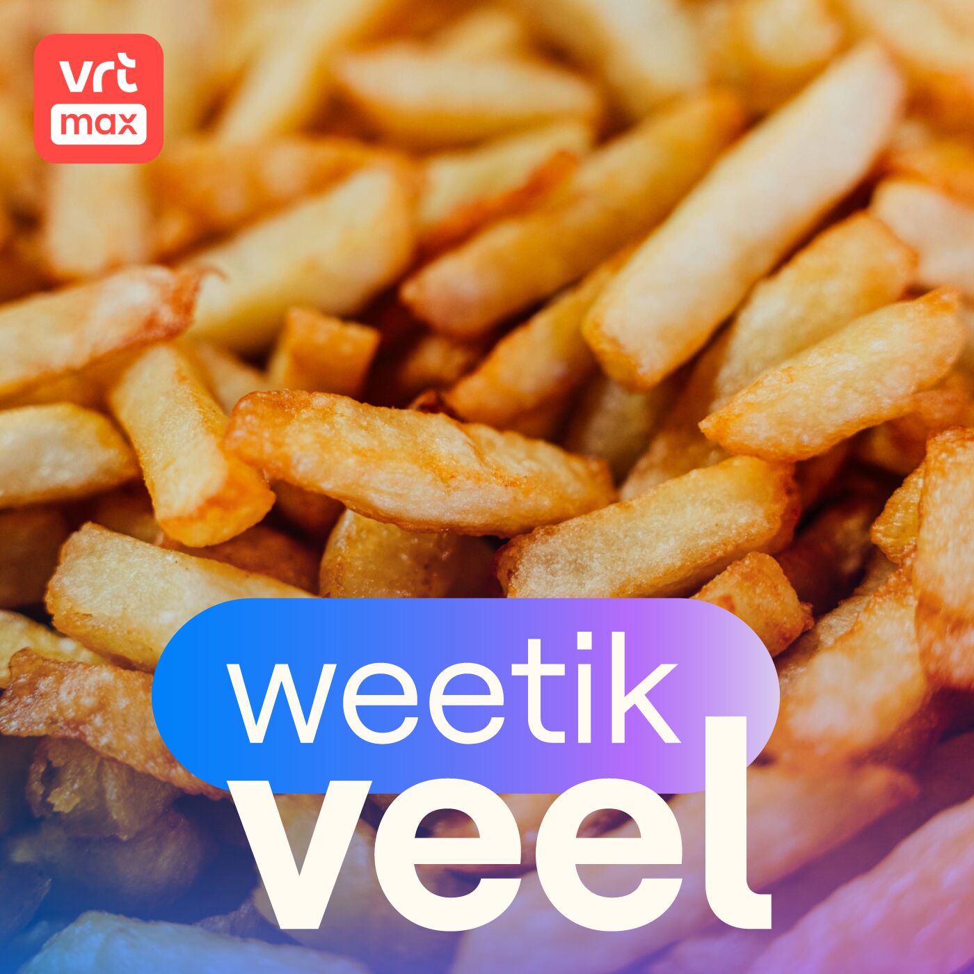 De frituur