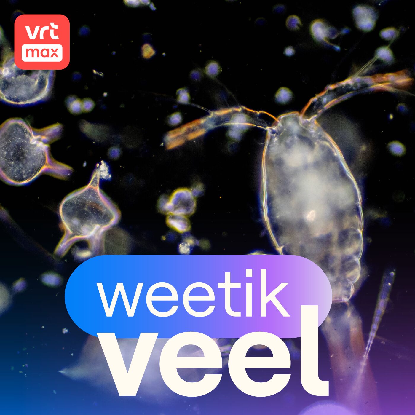 Episode Logo