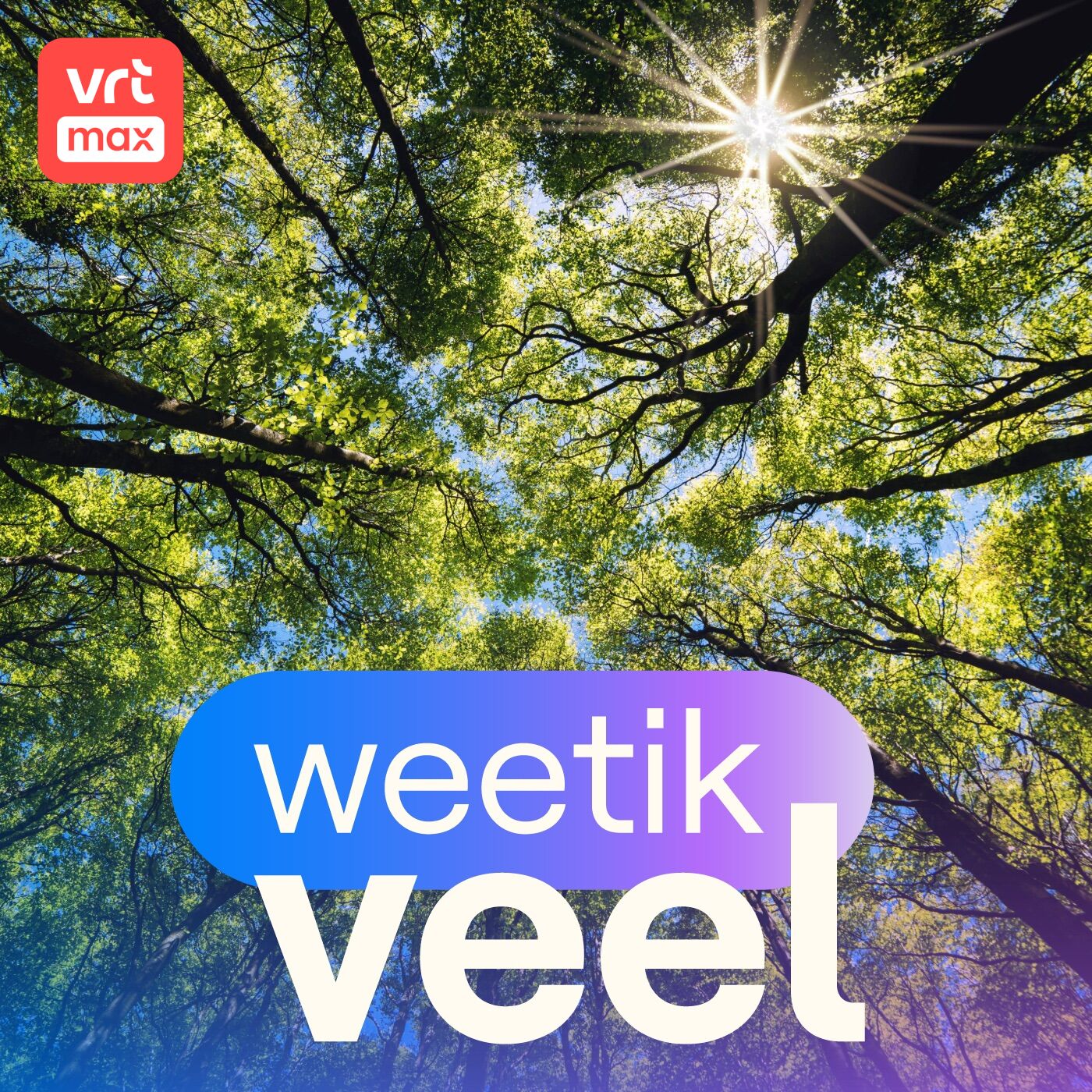 Bomen en hun verhalen episode artwork