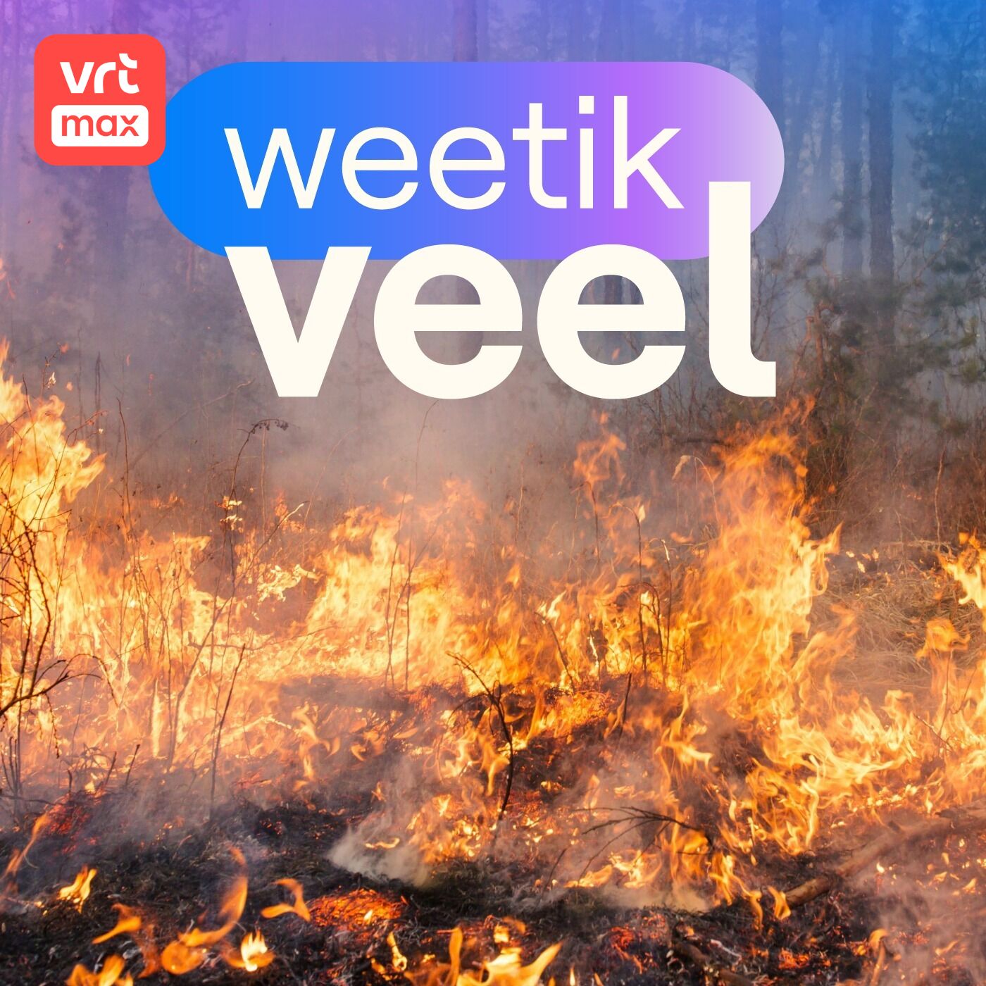 Artwork for Weetikveel