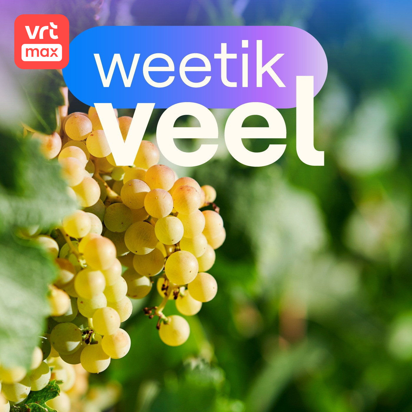 Belgische wijn