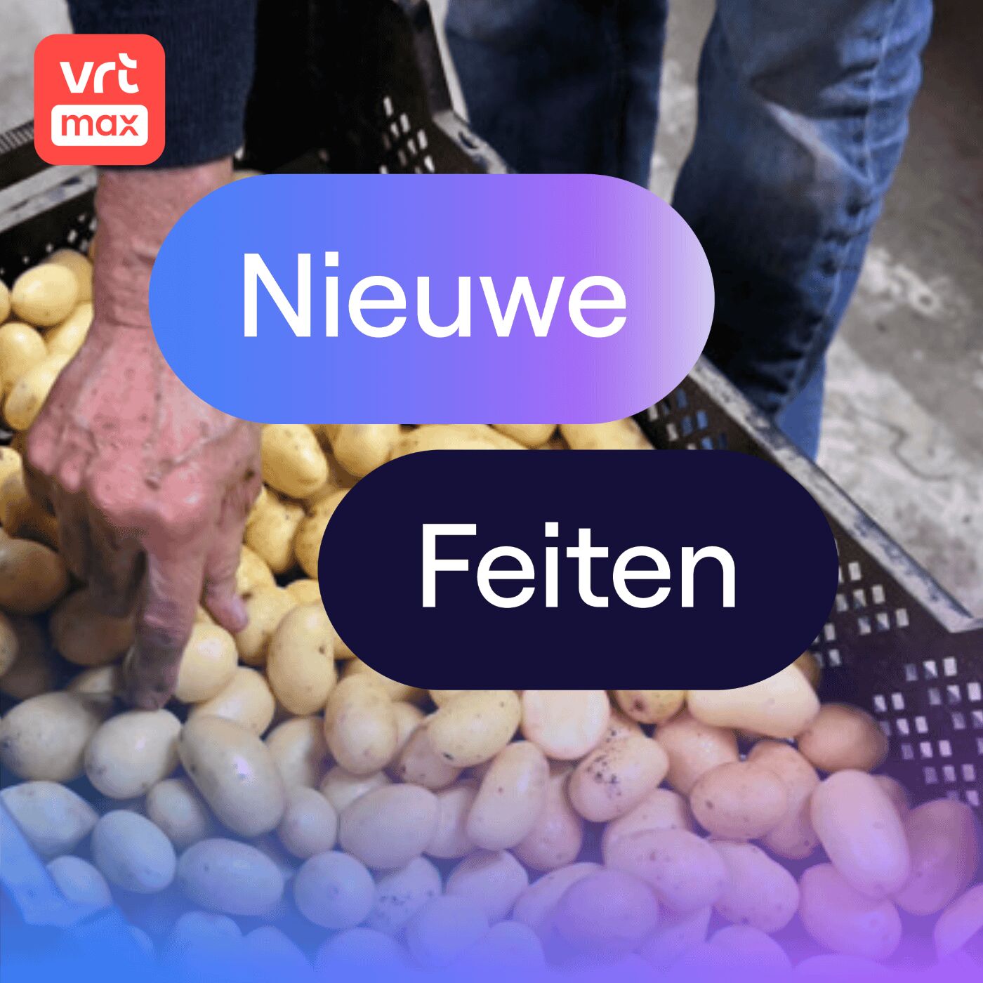 Patatjes dit jaar te klein voor de supermarkt? episode artwork