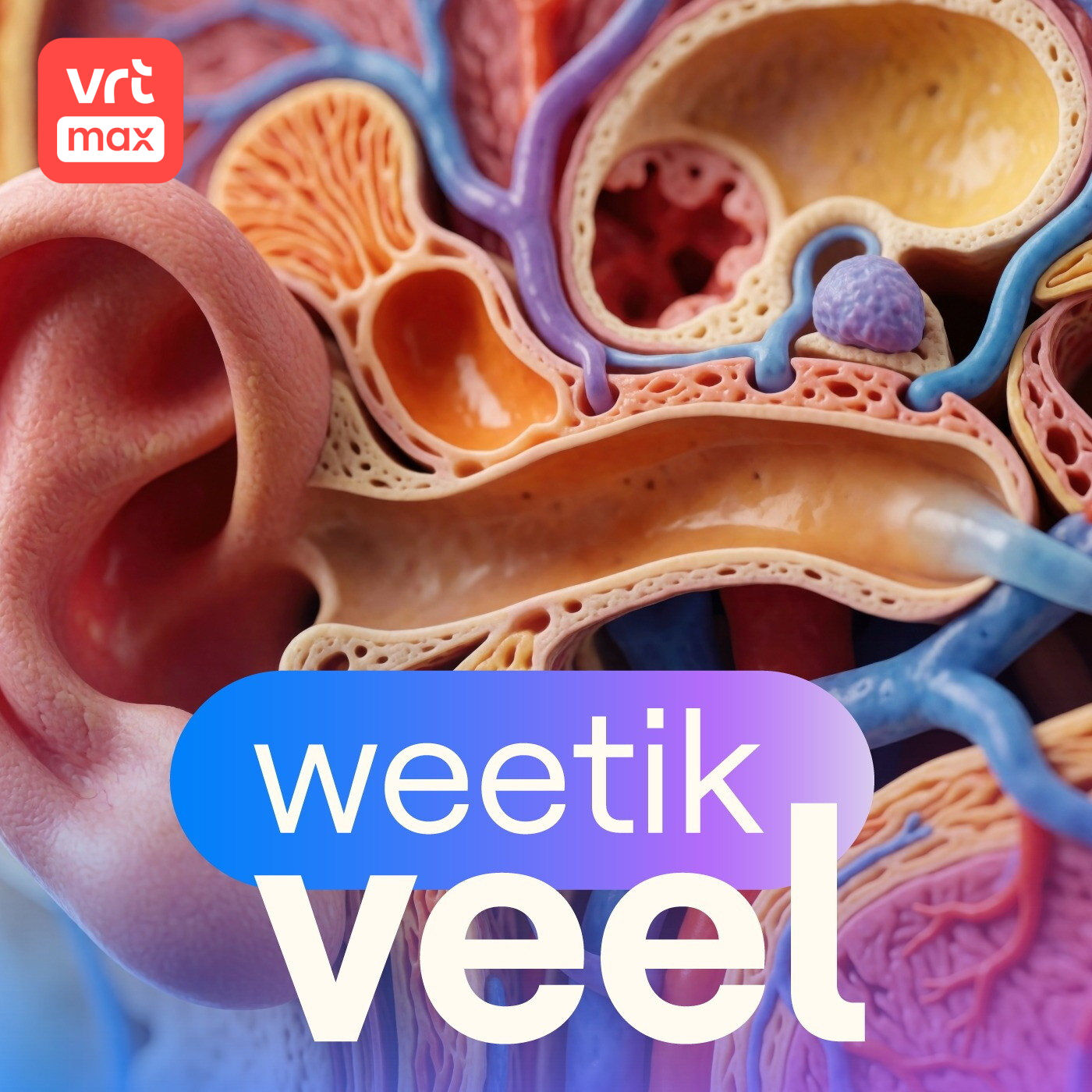 Evenwicht