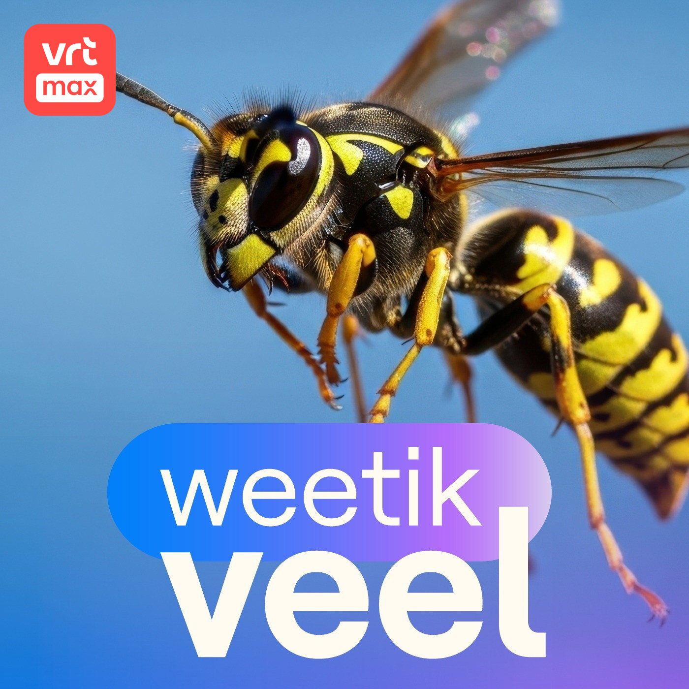 Wespen