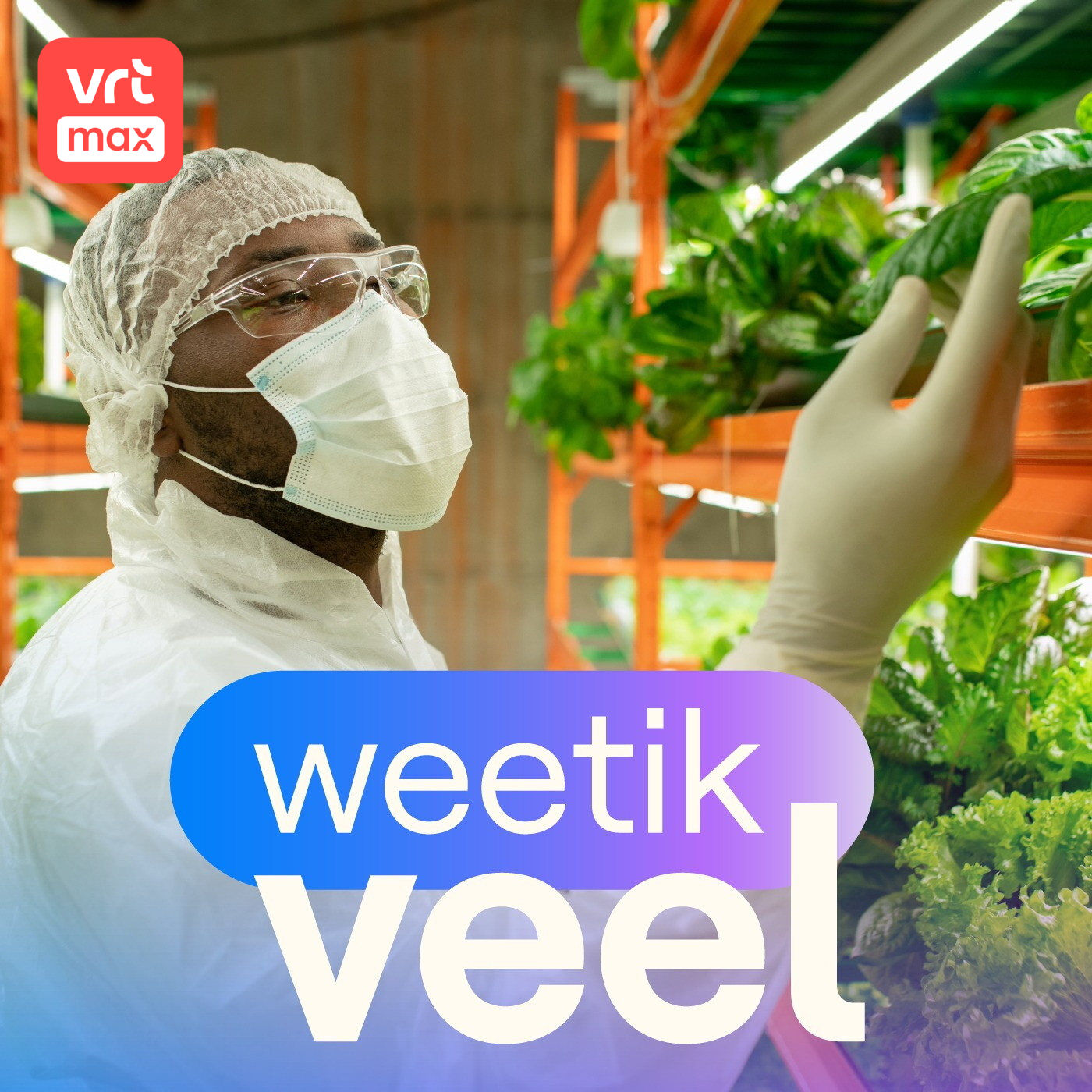 Voedselveiligheid