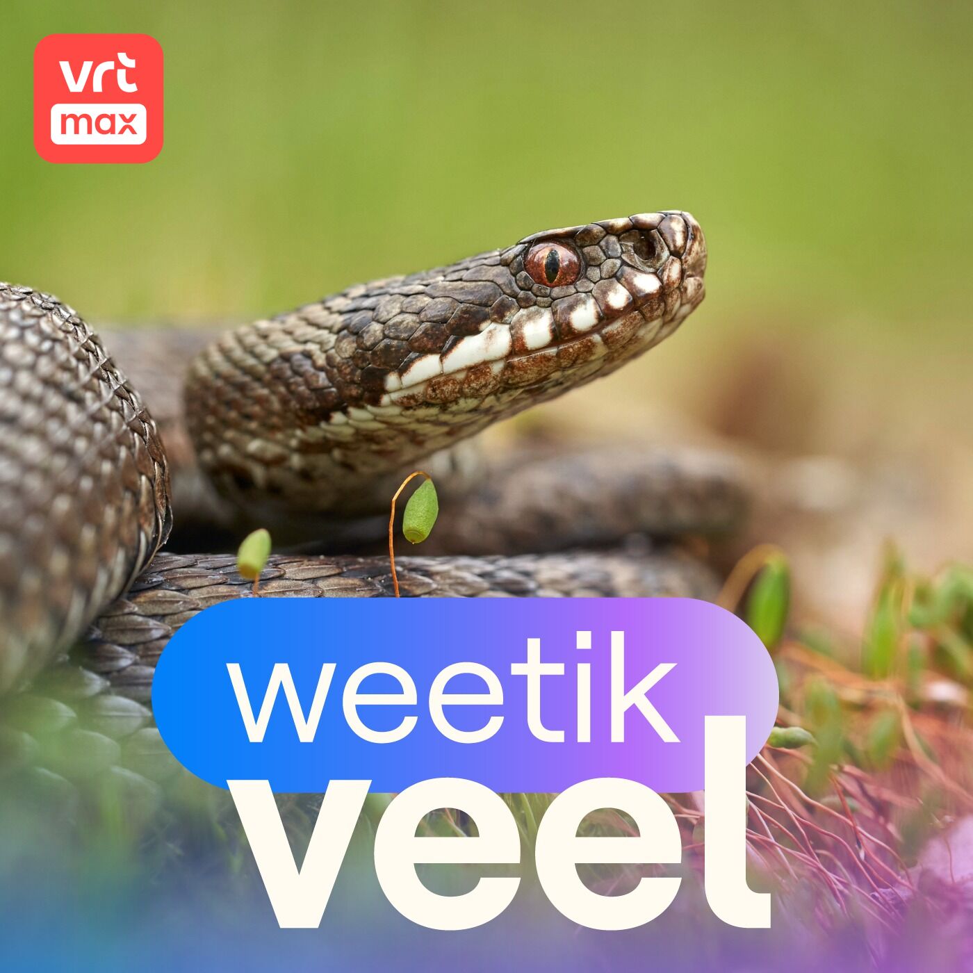 Gevaarlijke dieren & planten