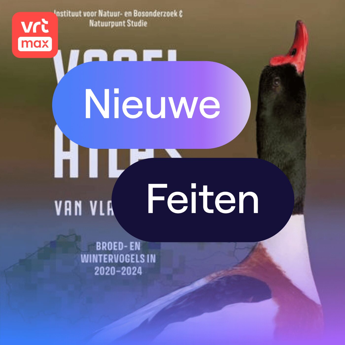 De nieuwe Vogelatlas van Vlaanderen is er