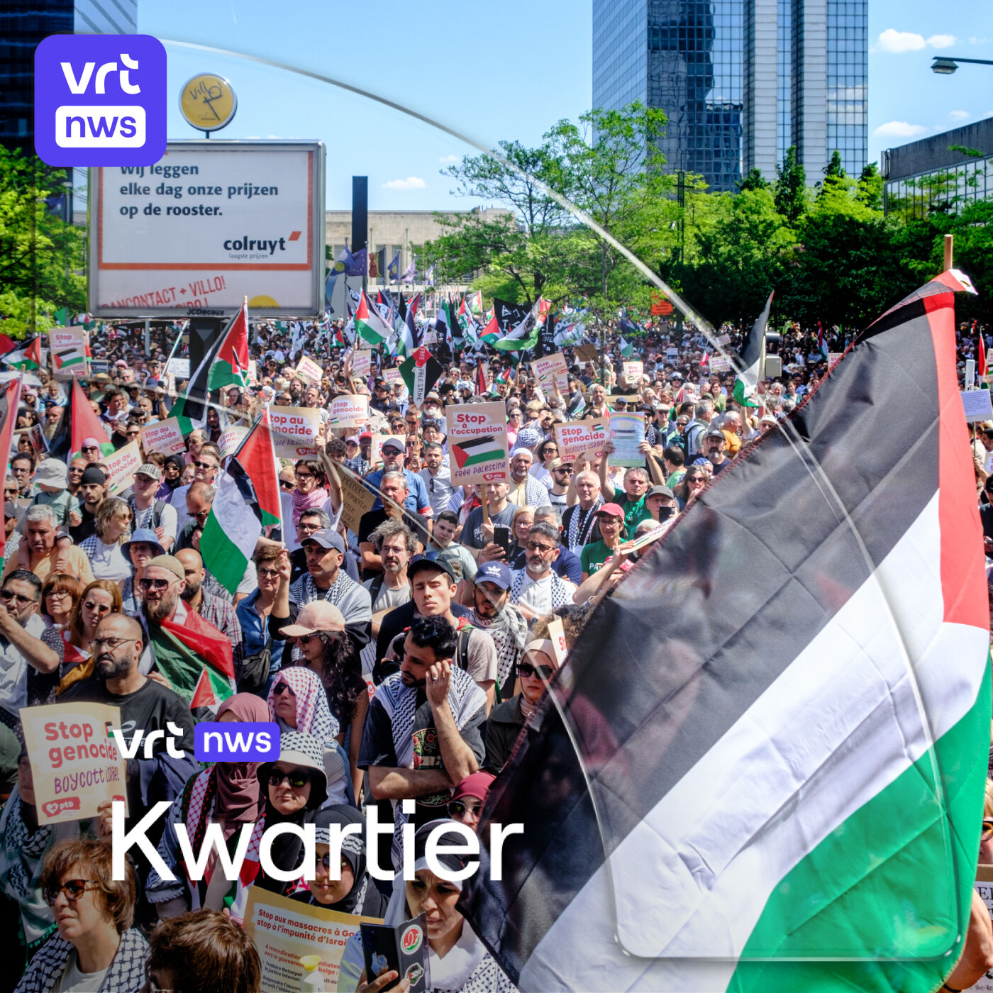 Wat is de Gaza-resolutie waard? Opvang in gezinshuizen en een loslopende pauw