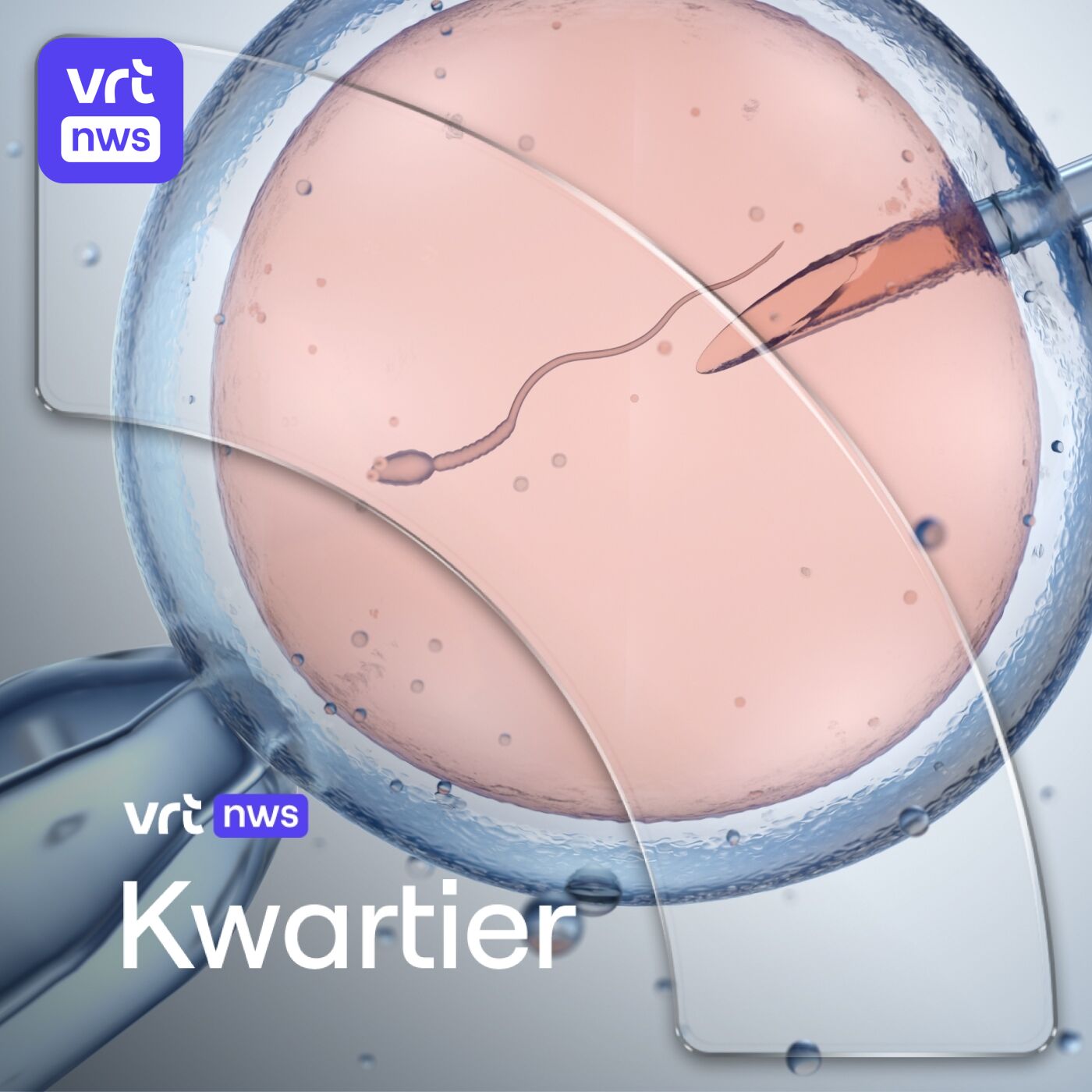 Onrust over zaaddonoren: waar loopt het mis? Hoe verdeeld is Polen? En gouden Nina