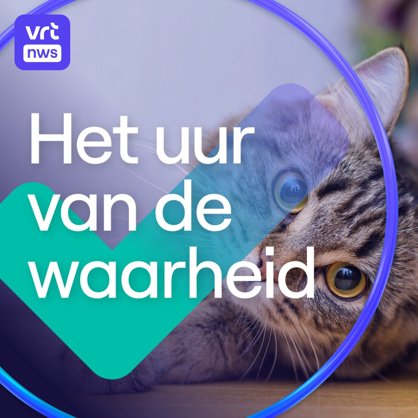 De kat is socialer en minder wild dan we denken. En willen de Polen echt weg uit de EU?