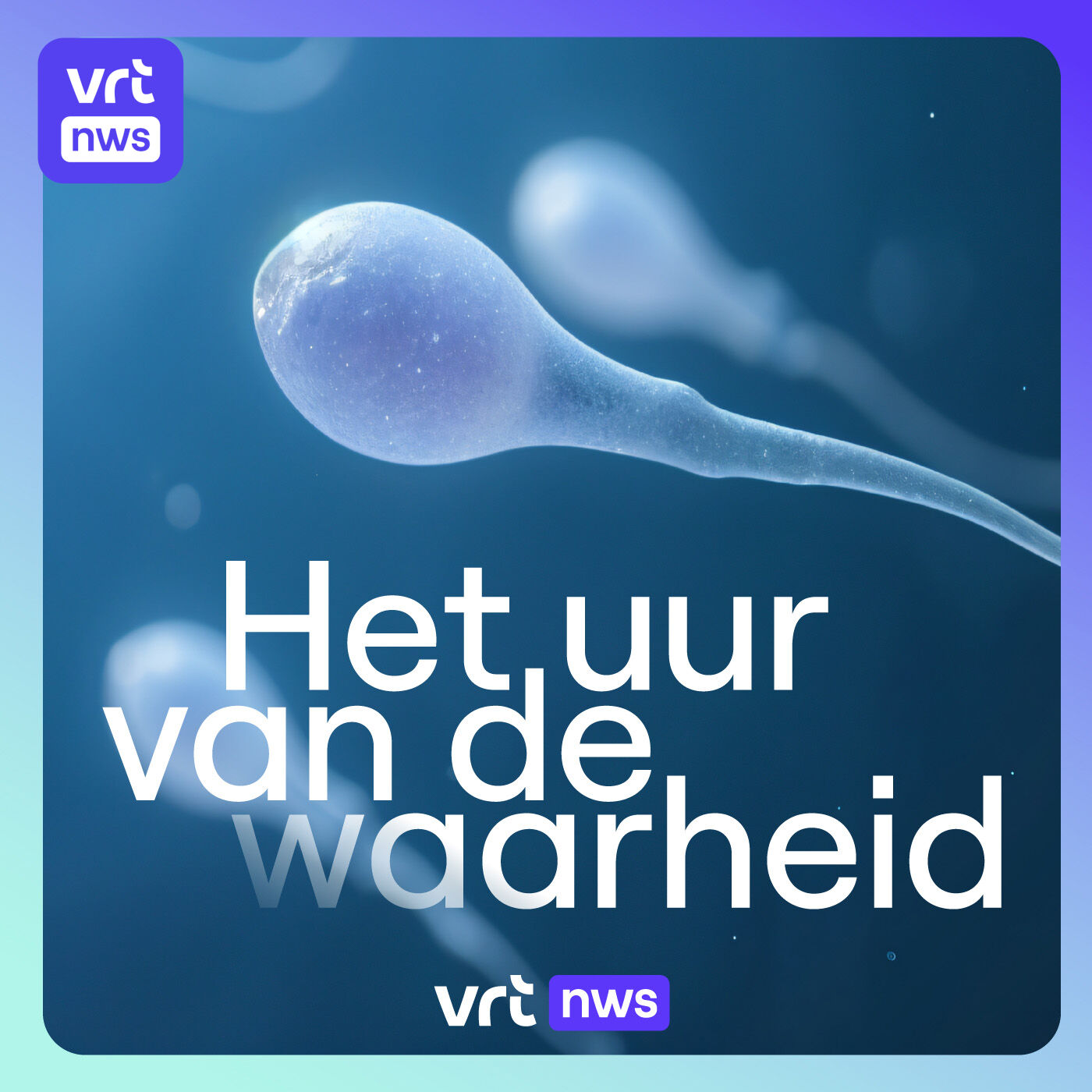 Beter sperma dankzij oesters en testosteron: kan dat? Beter sperma dankzij oesters en testosteron: kan dat?