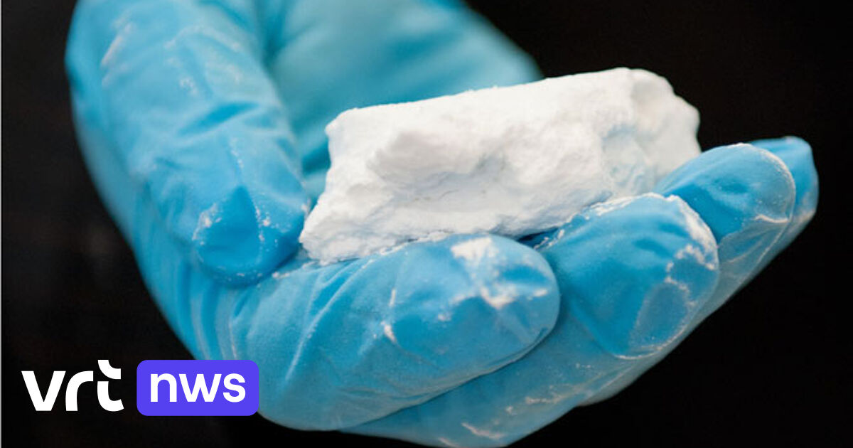 US-like Drug Enforcement Agency for Belgium?