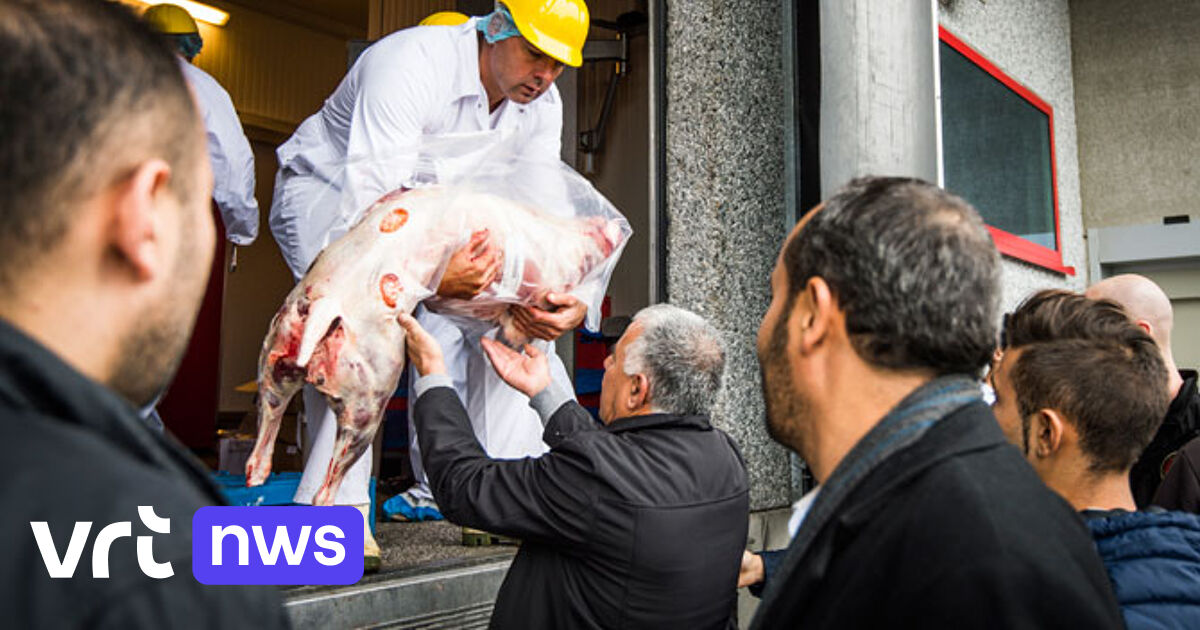 Wat moet u weten over het Offerfeest? VRT NWS nieuws